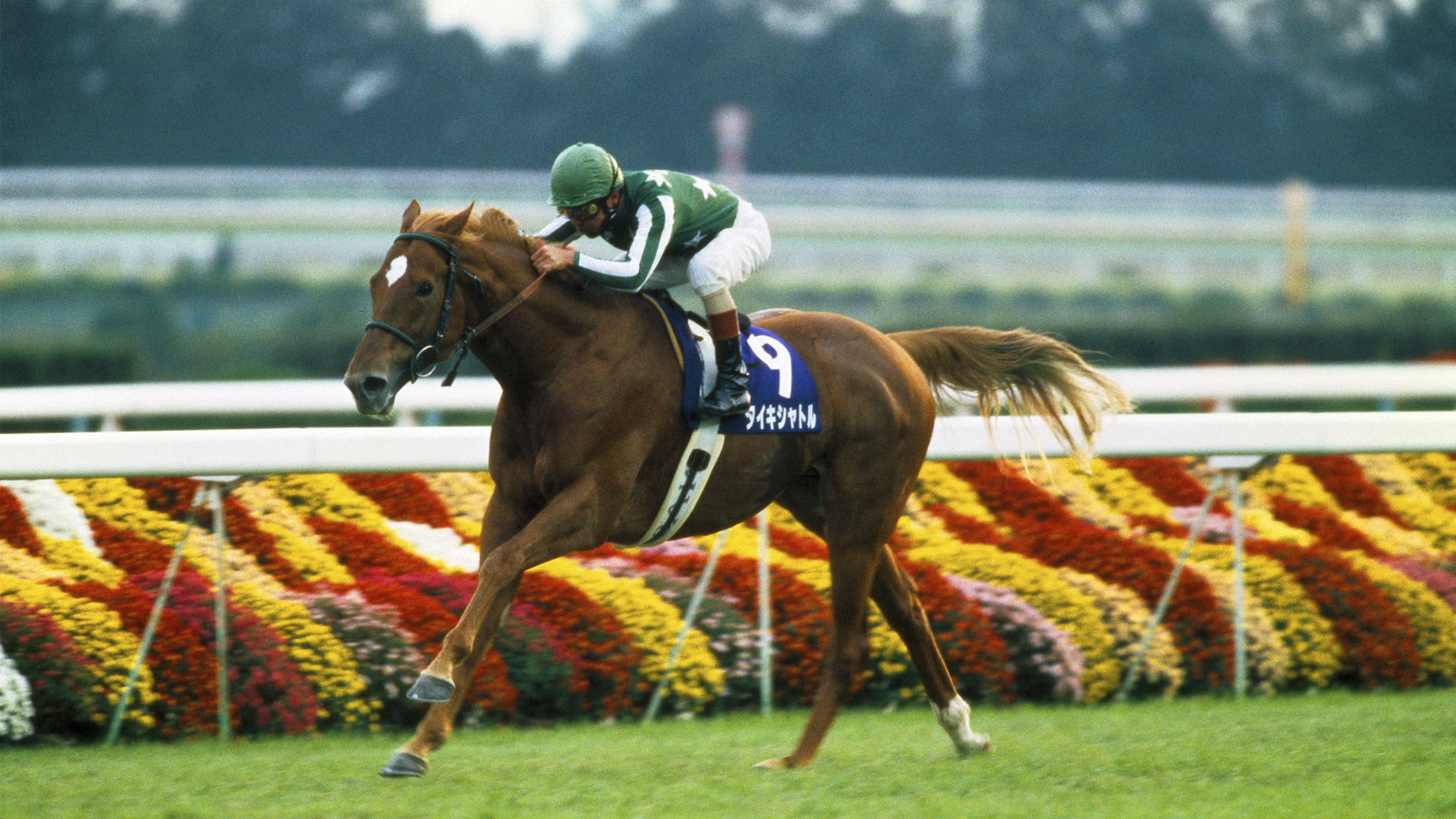 岡部幸雄、タイキシャトルの記念パネル 岡部幸雄、タイキシャトルの記念パネル 24年前、タイキシャトル