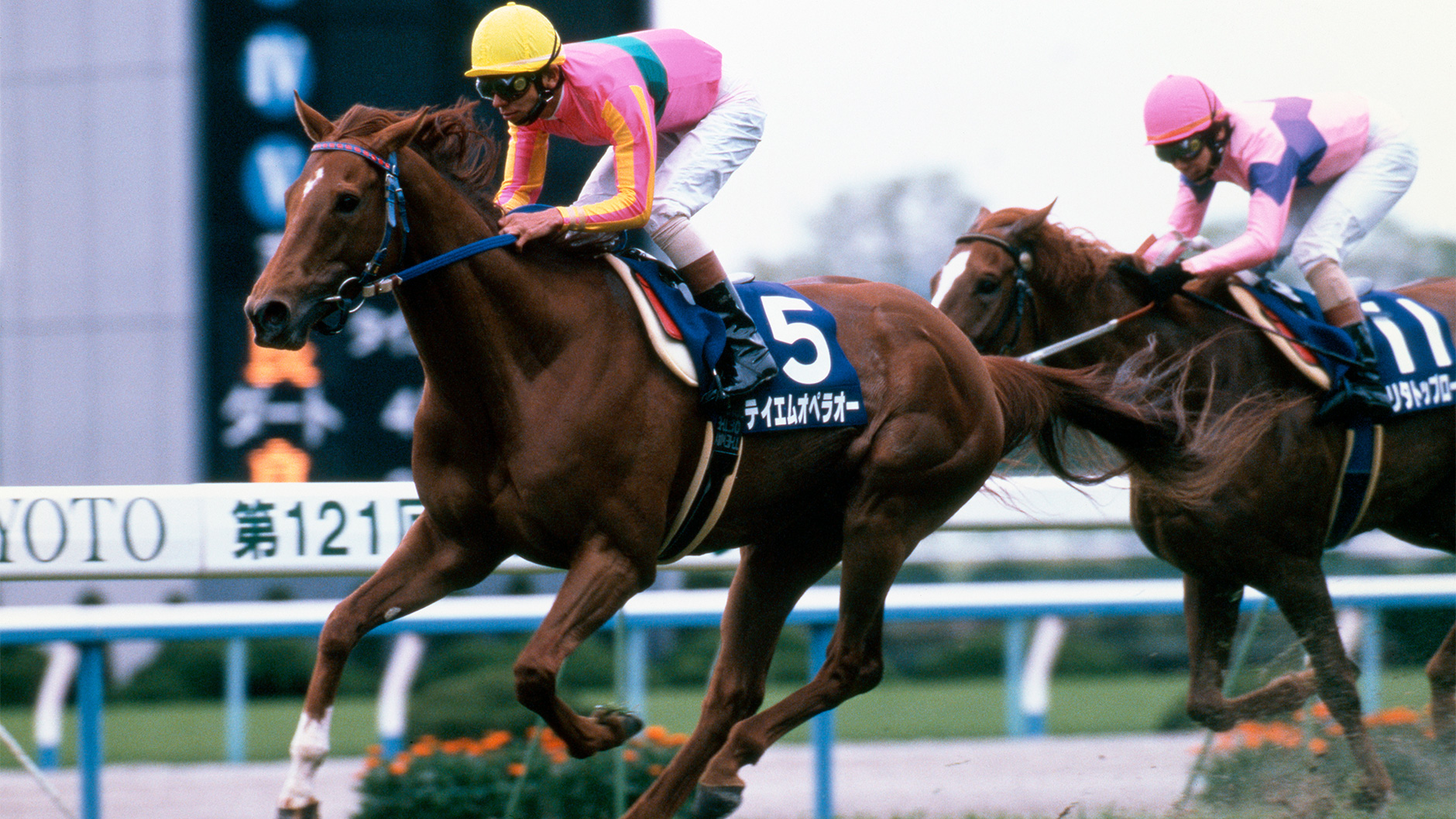 2000�N �V�c�܁i�t�j