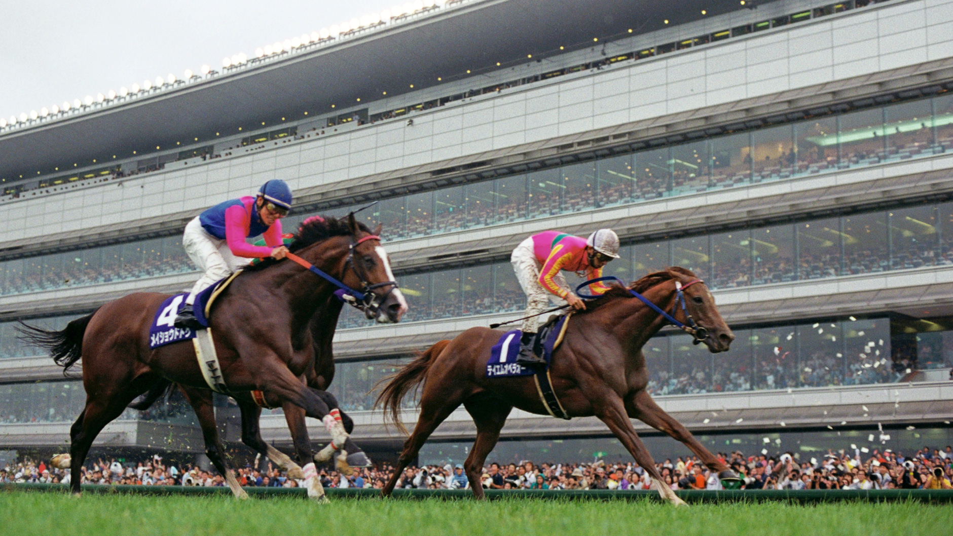 2000�N ��ˋL�O