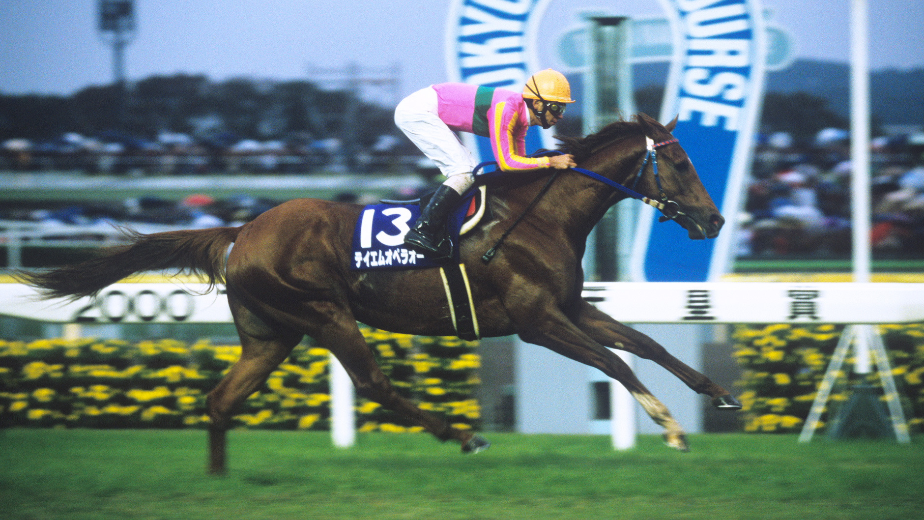 2000�N �V�c�܁i�H�j