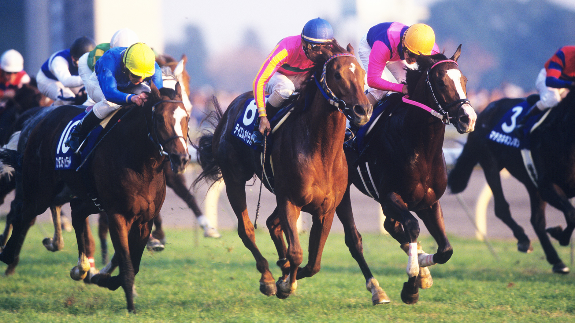 2000�N �W���p���J�b�v