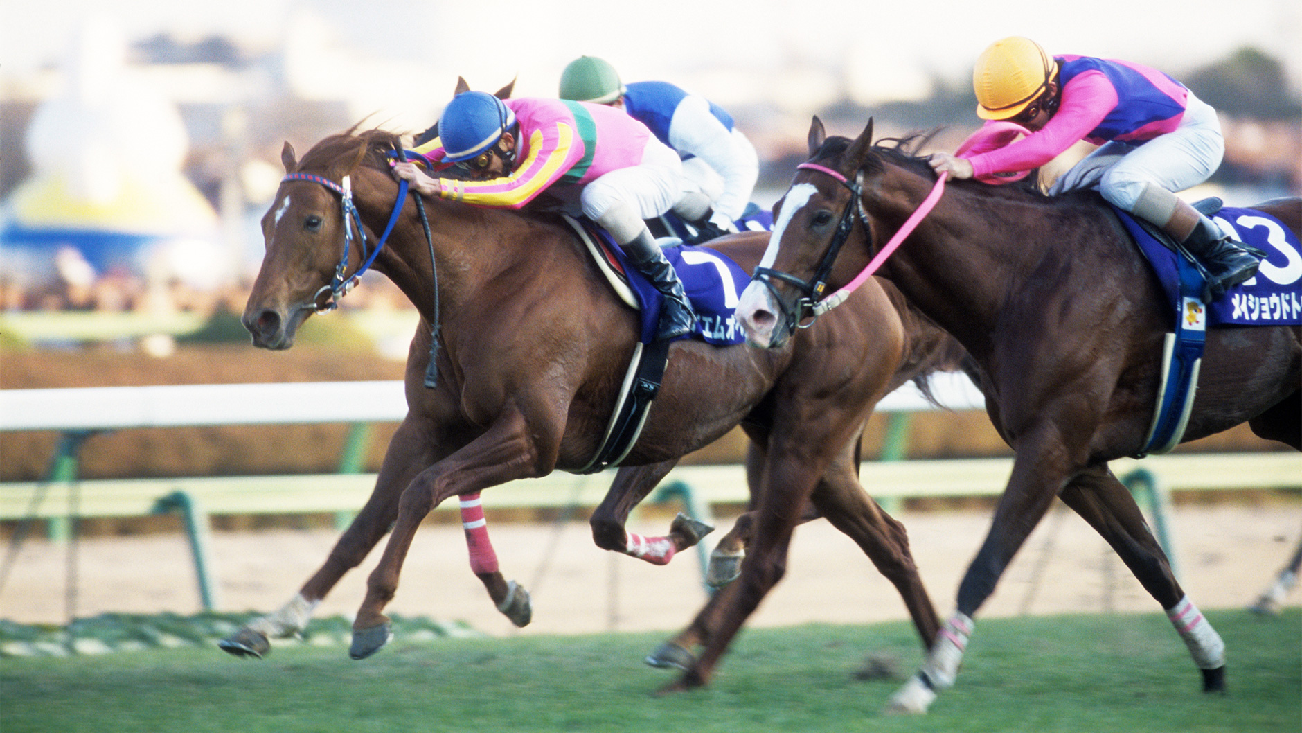 2000�N �L�n�L�O