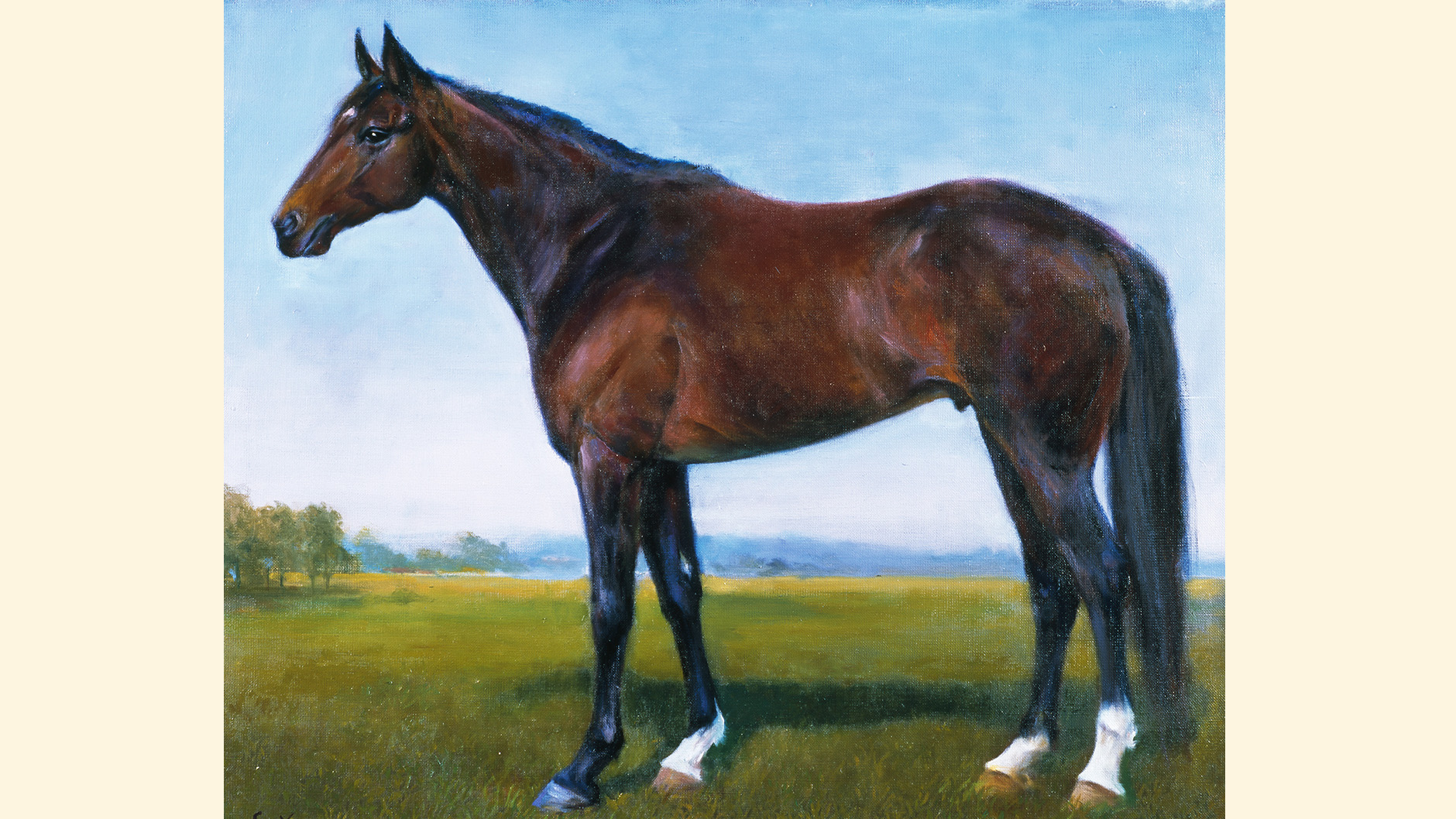 �f�B�[�v�C���p�N�g�̏ё���