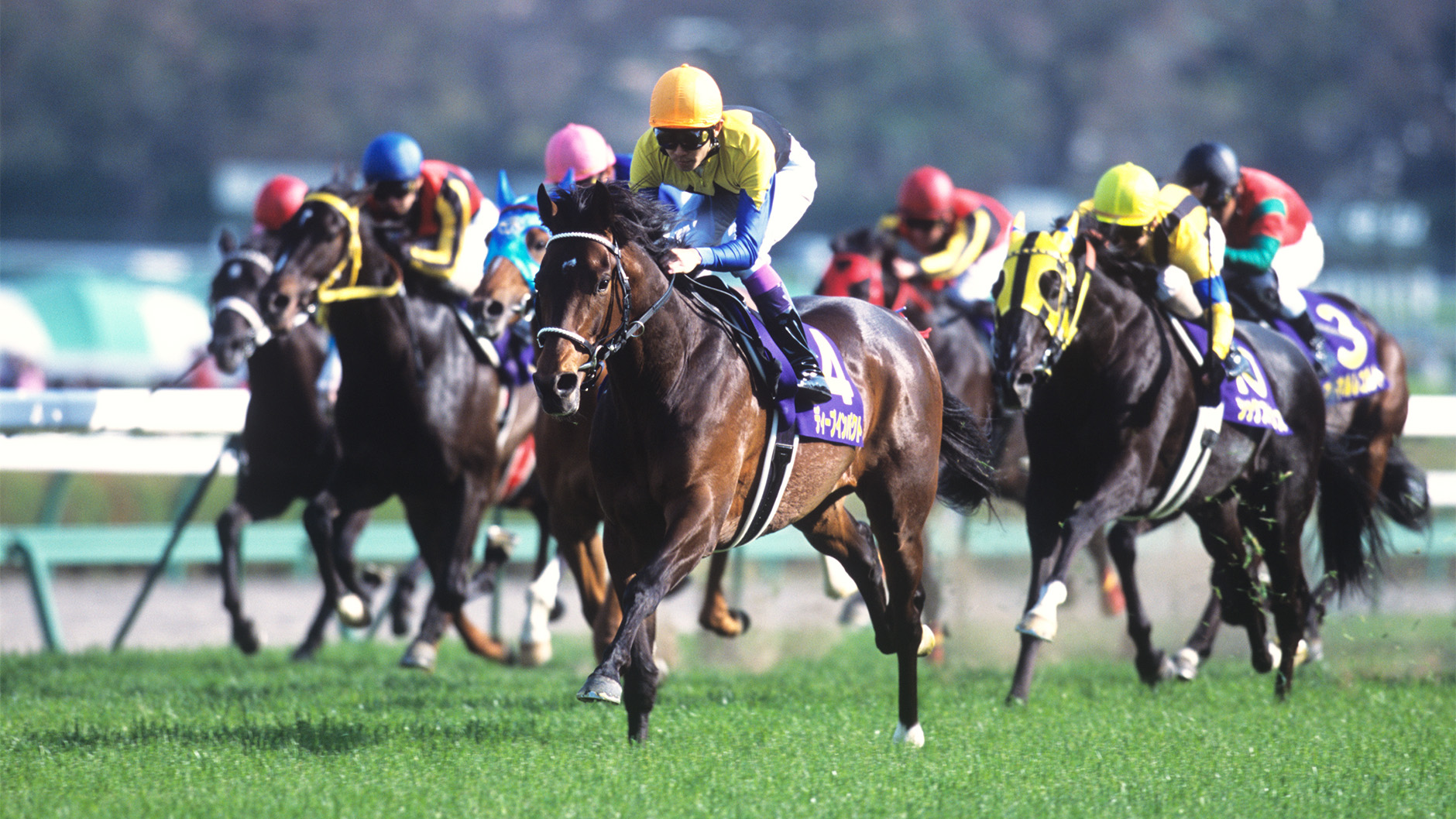 2005�N �H����