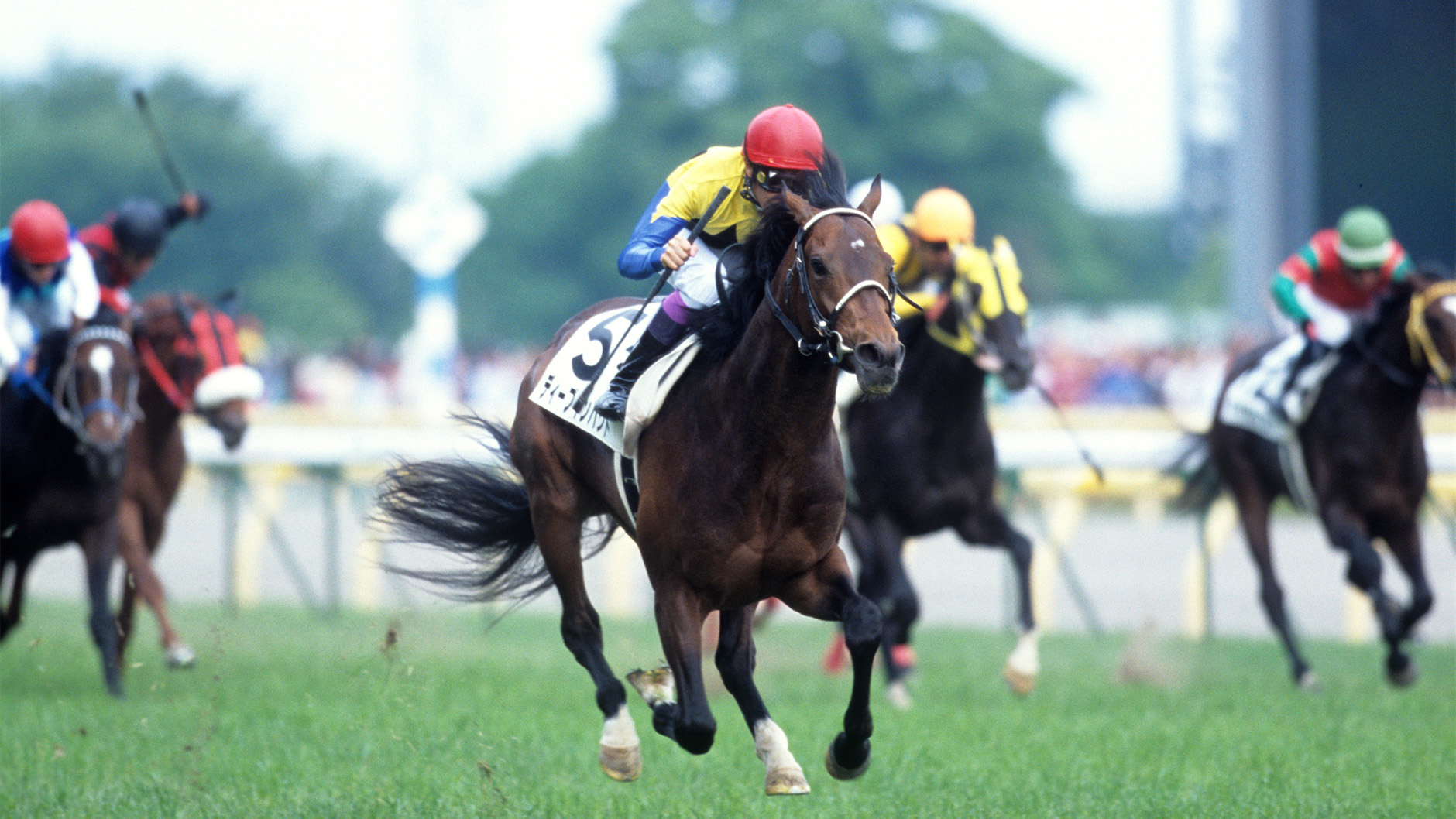 2005�N �����D�x