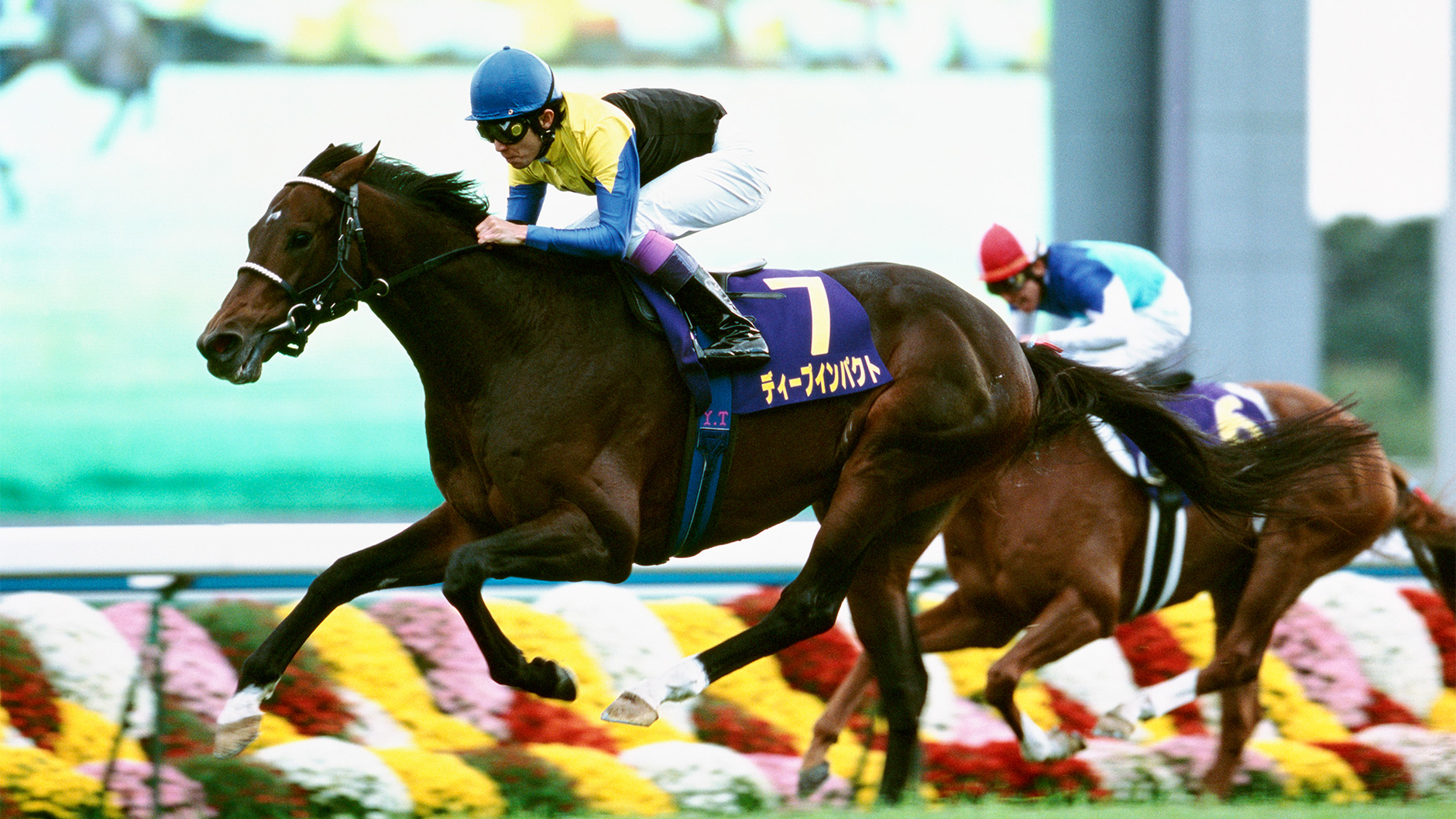 2005�N �e�ԏ�