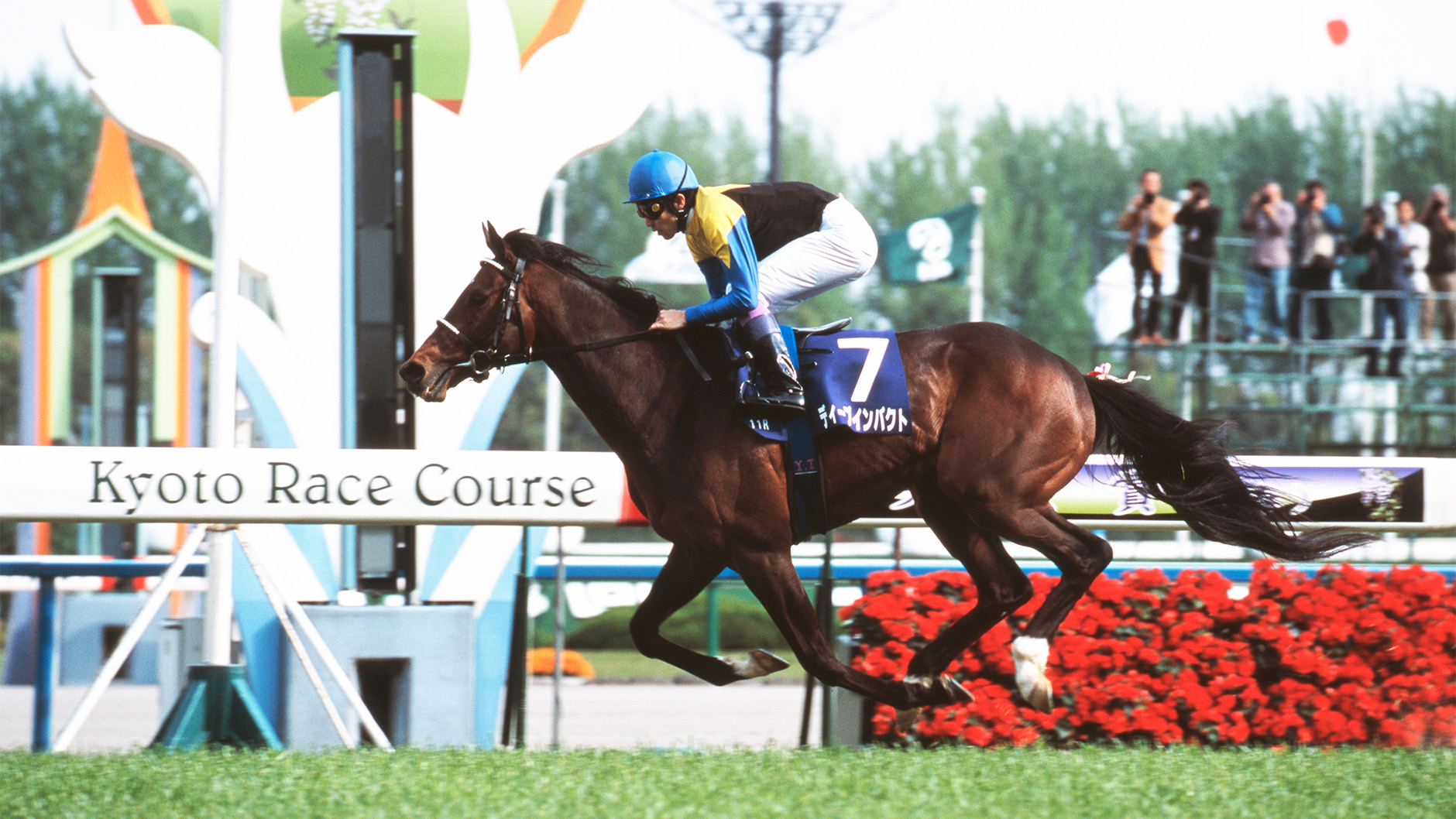 2006�N �V�c�܁i�t�j