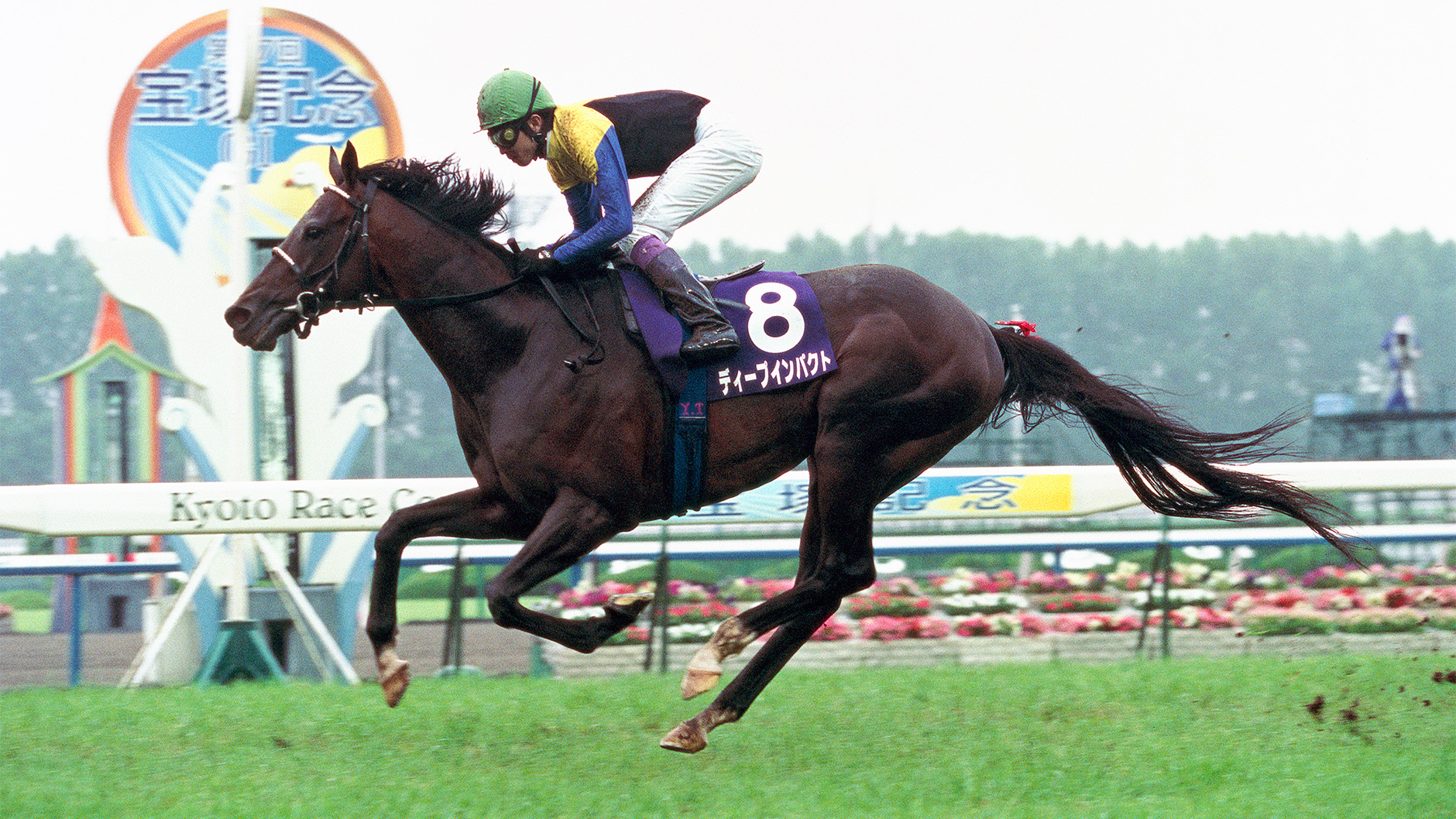 2006�N ��ˋL�O