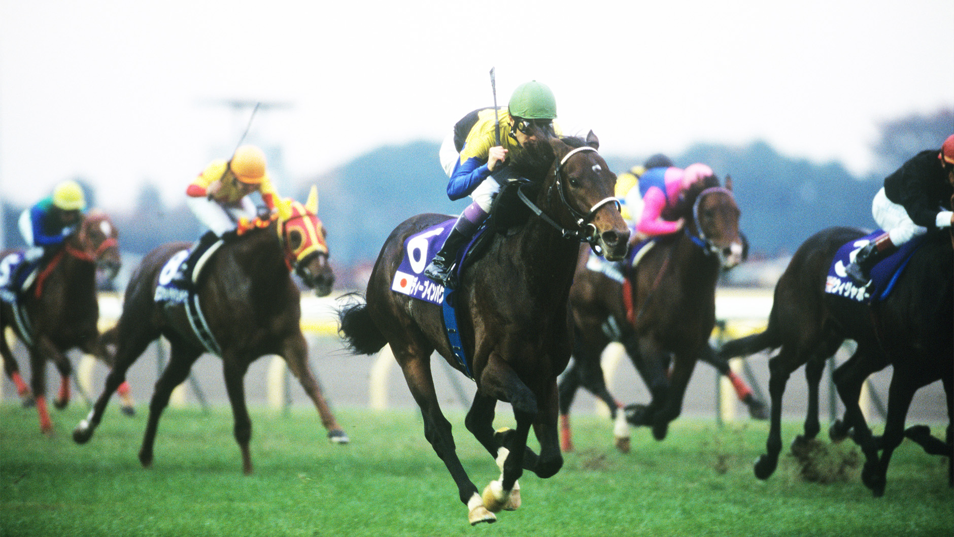 競馬］ディープインパクト（2006年ジャパンカップ）額入りミニゼッケン