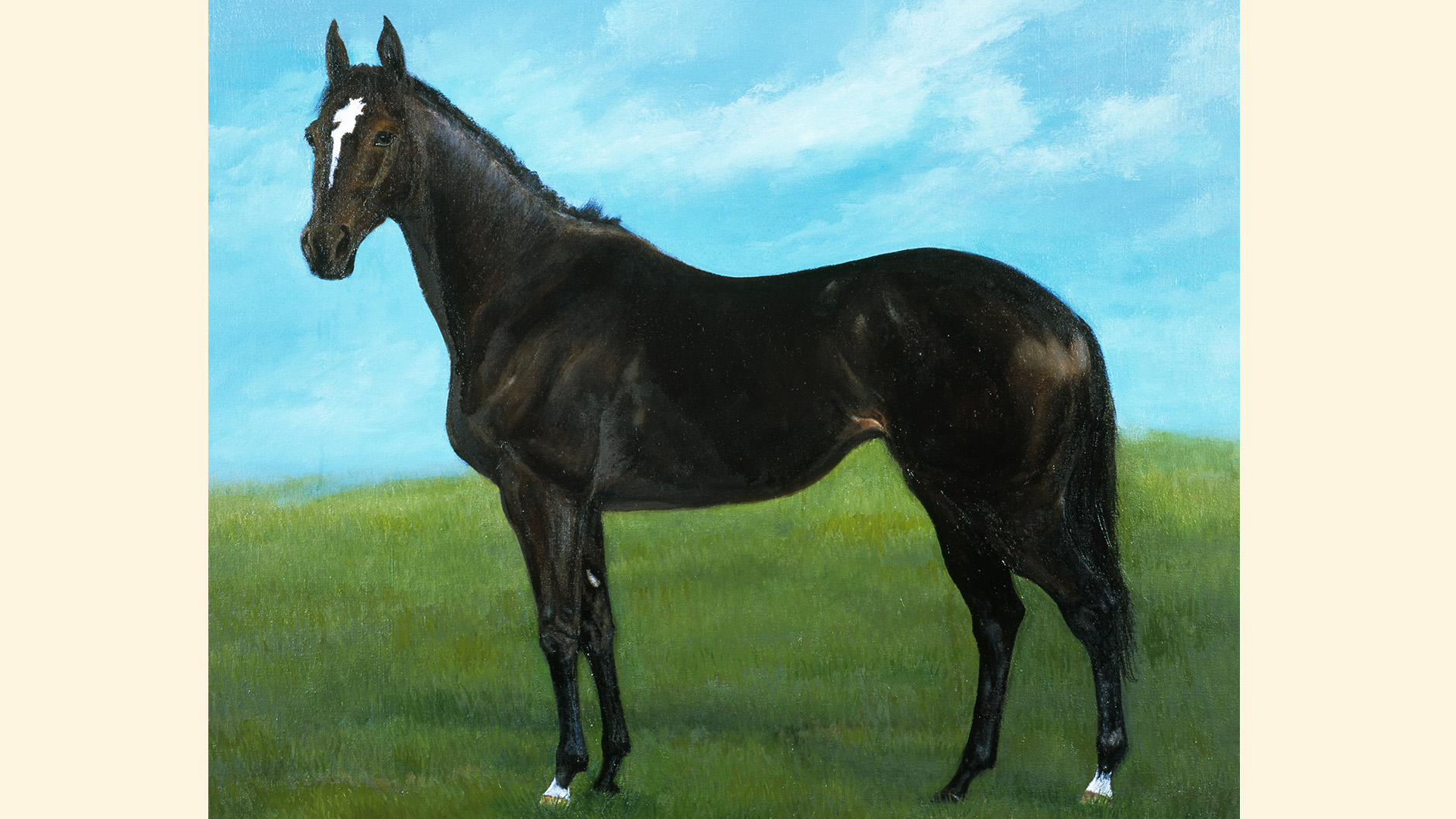 �E�I�b�J�̏ё���