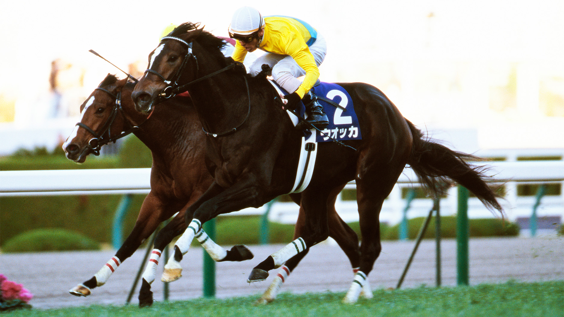 2006�N ��_�W���x�i�C���t�B���[�Y