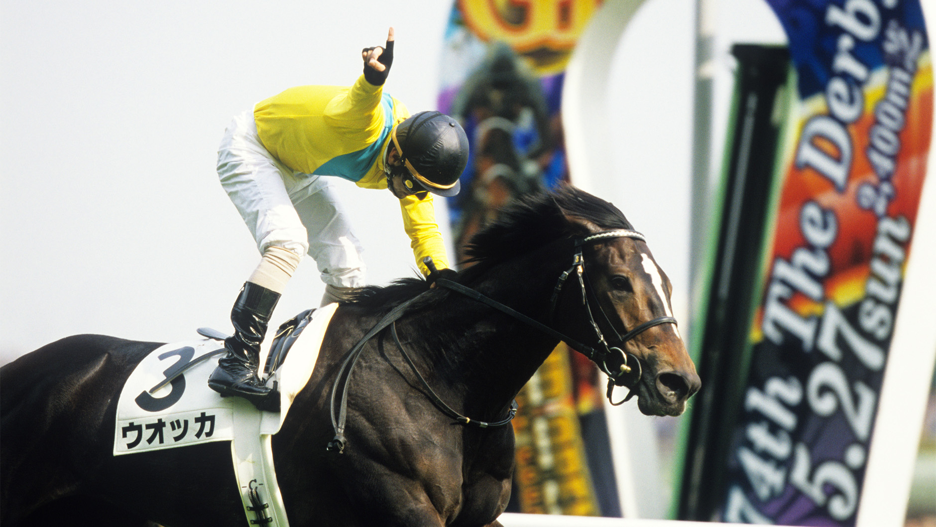 2007�N �����D�x