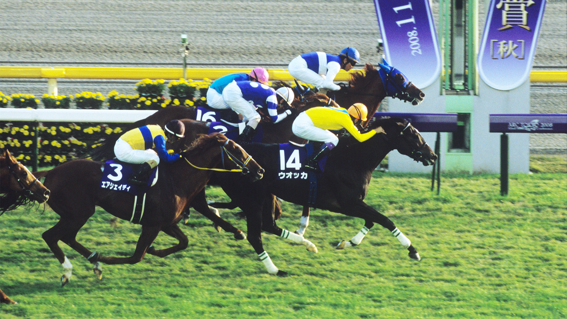 2008�N �V�c�܁i�H�j