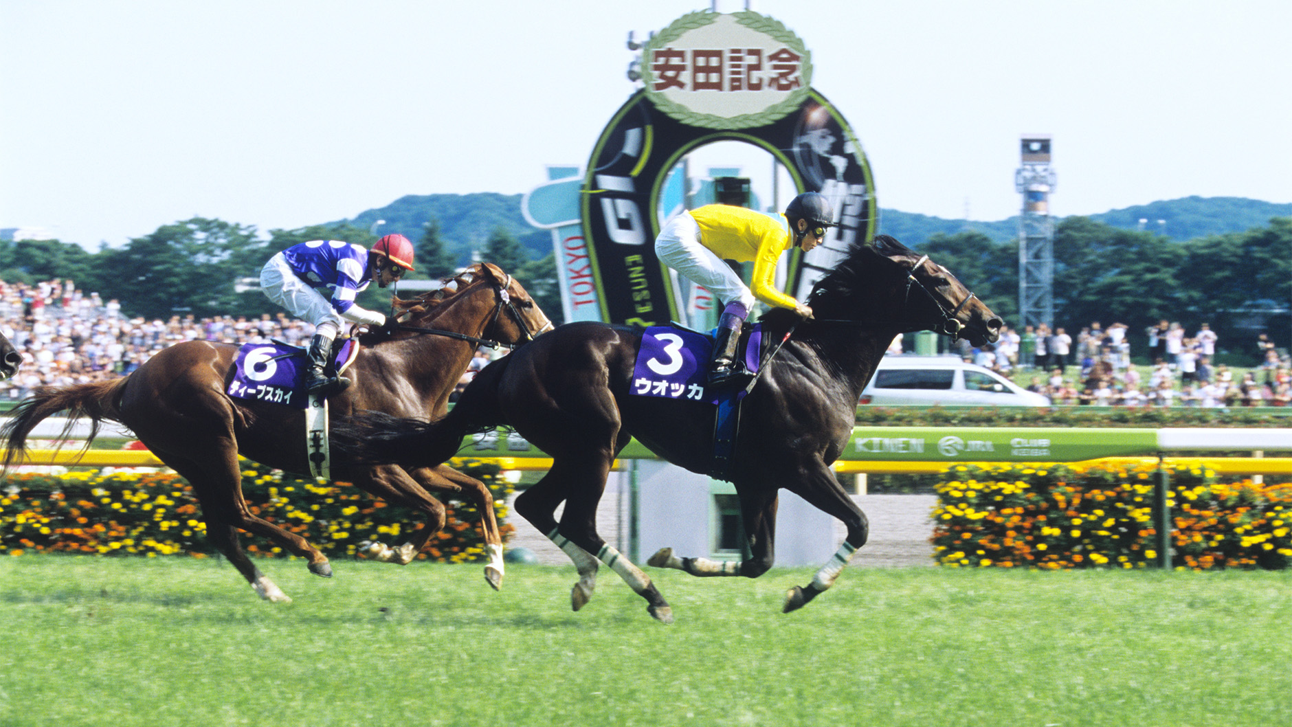 2009�N ���c�L�O