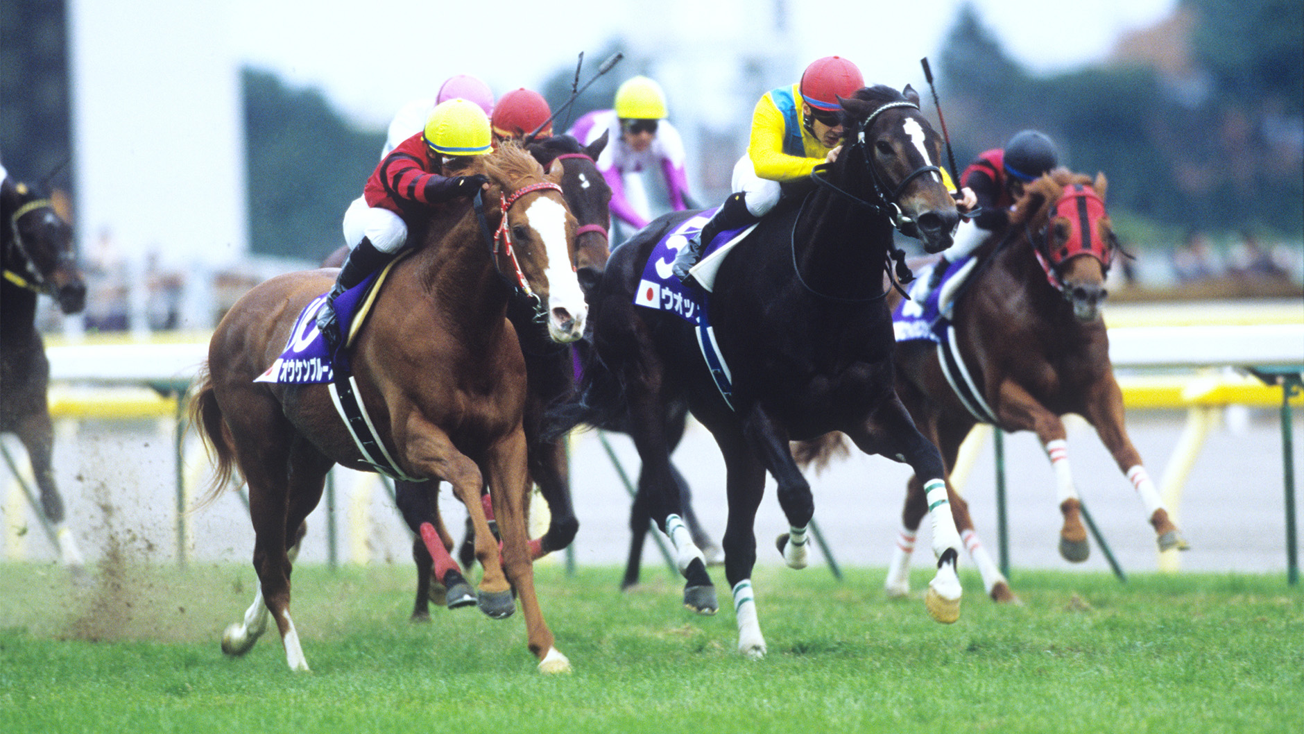 2009�N �W���p���J�b�v