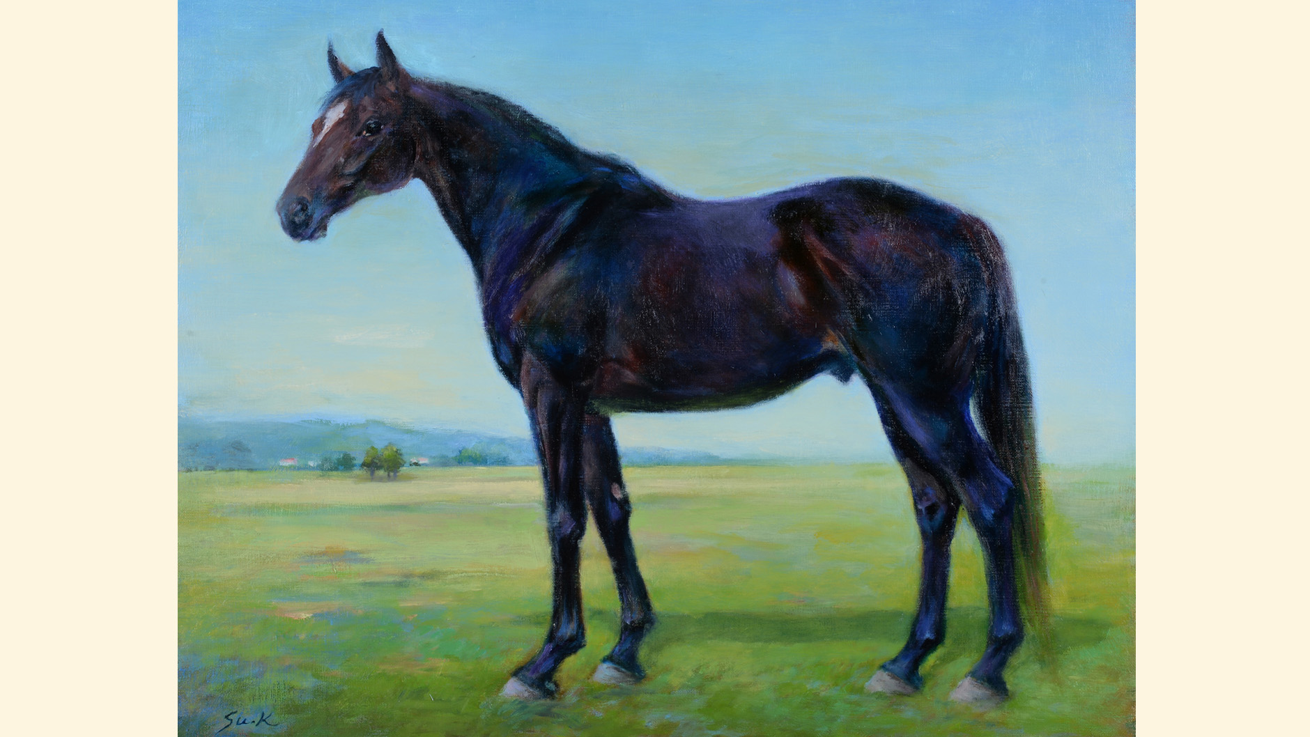 �G���R���h���p�T�[�̏ё���