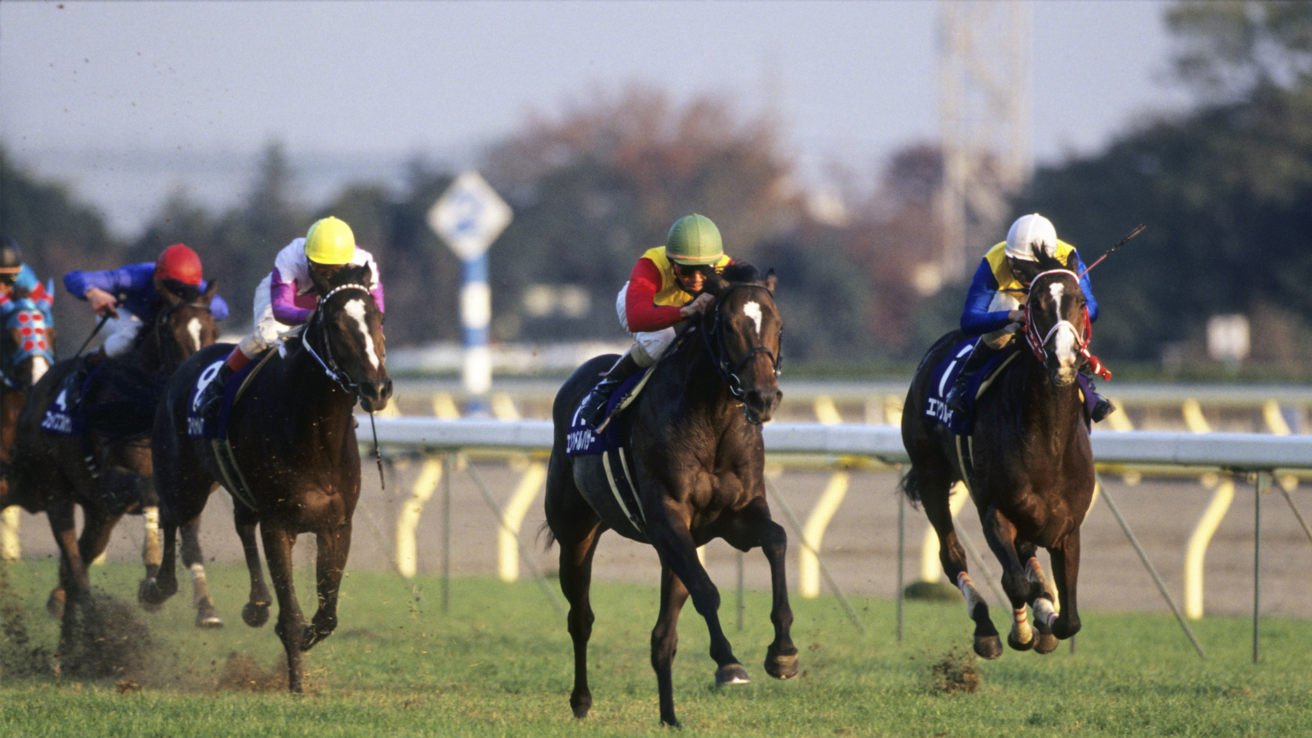 1998�N �W���p���J�b�v