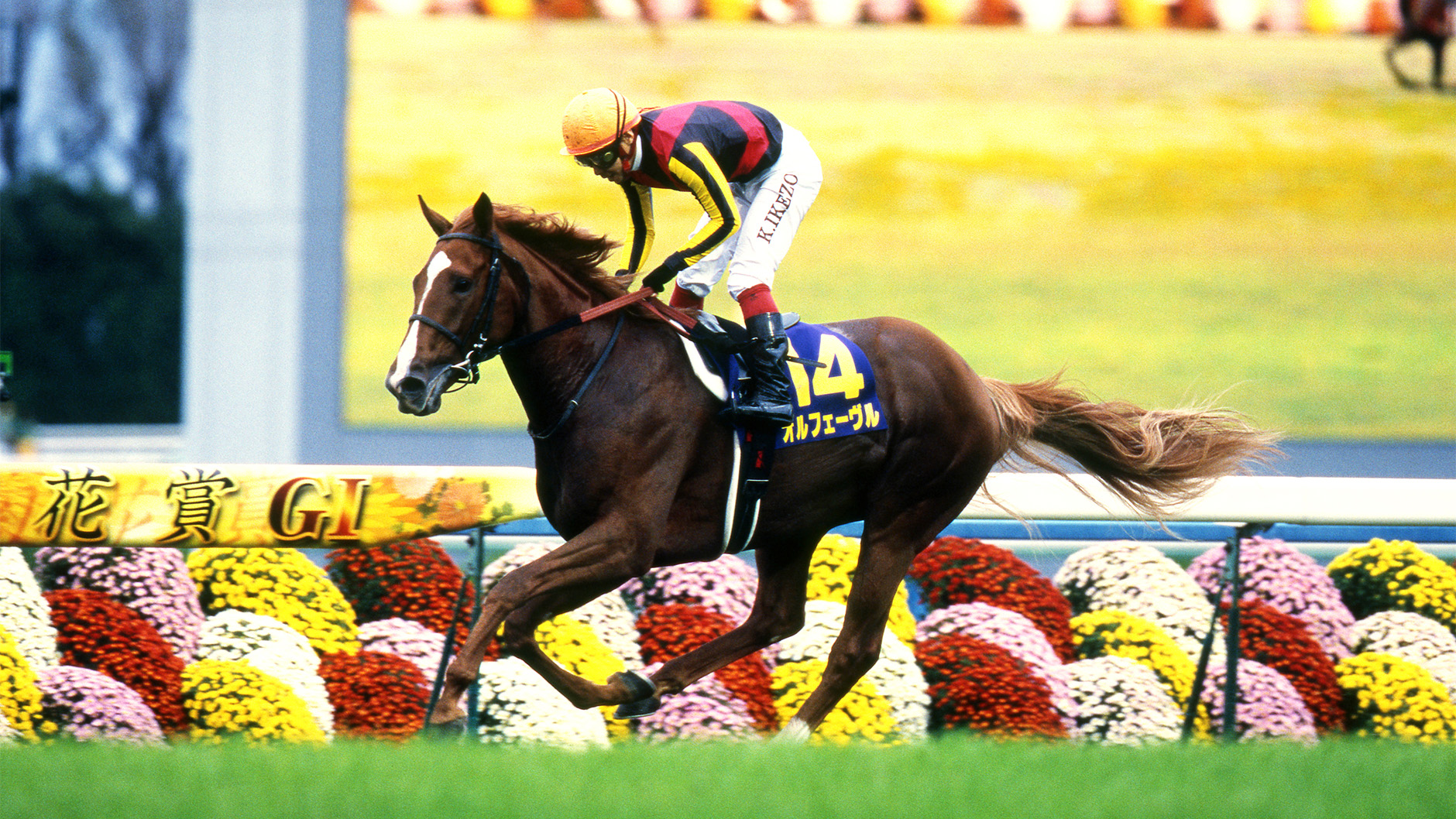 2011�N �e�ԏ�