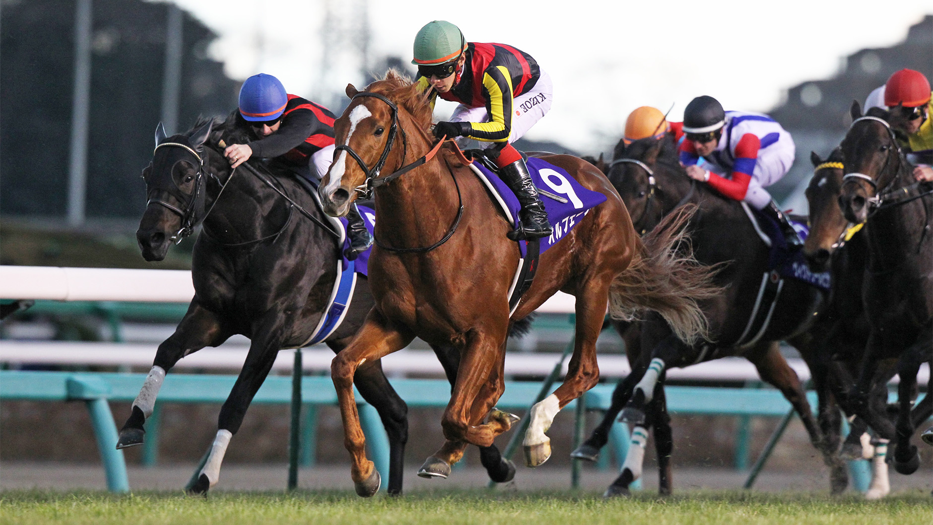 2011�N �L�n�L�O