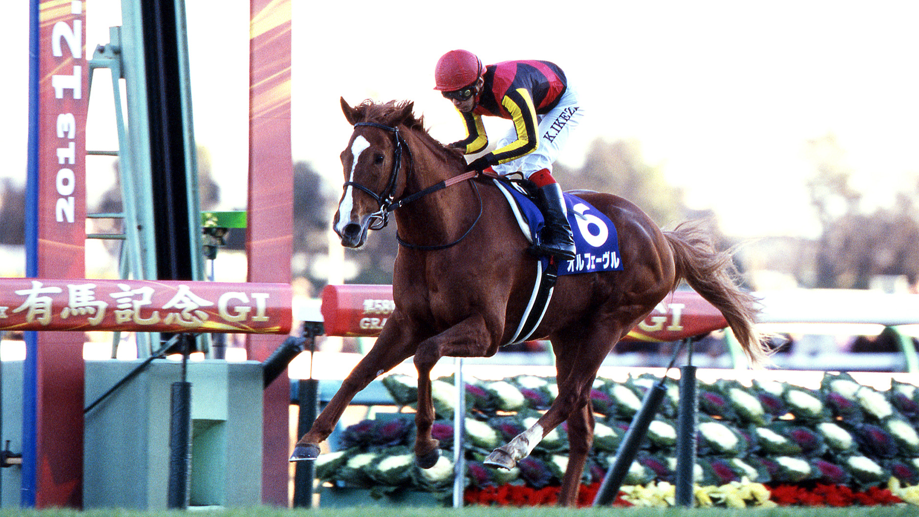 2013�N �L�n�L�O