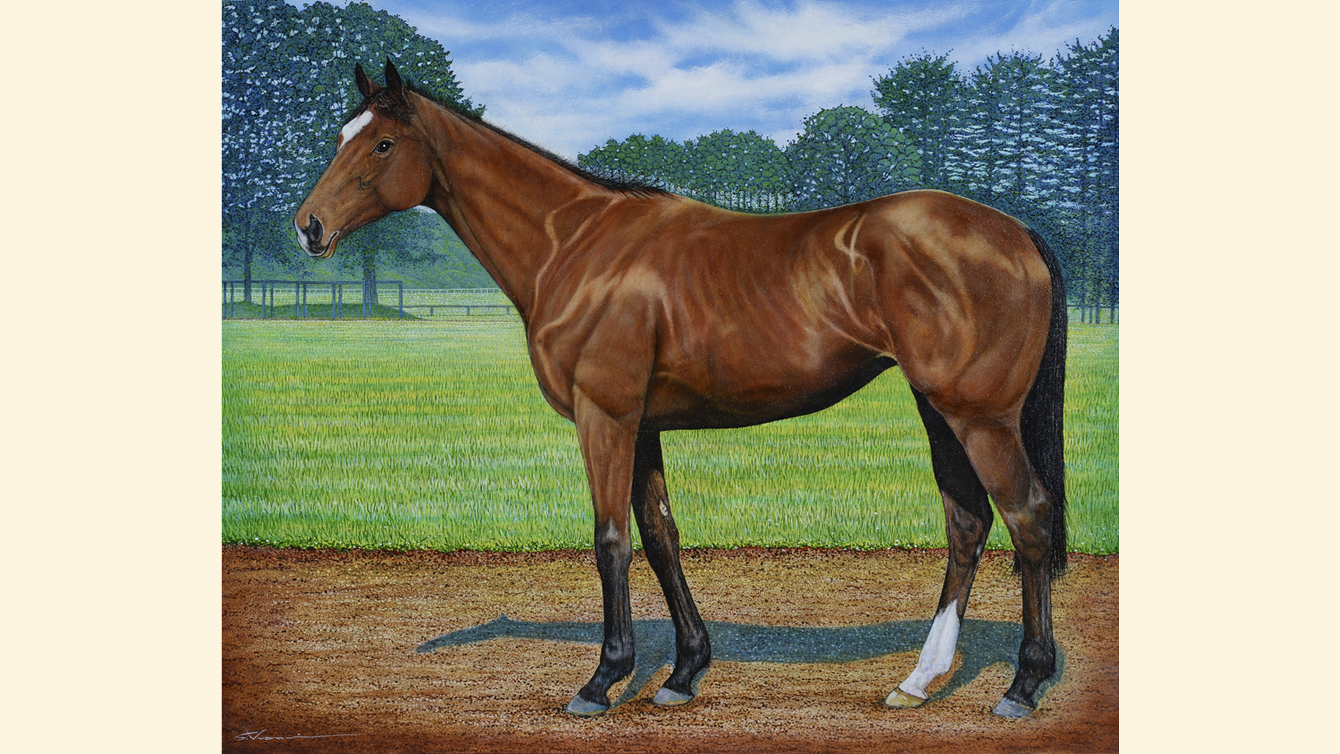 �W�F���e�B���h���i�̏ё���