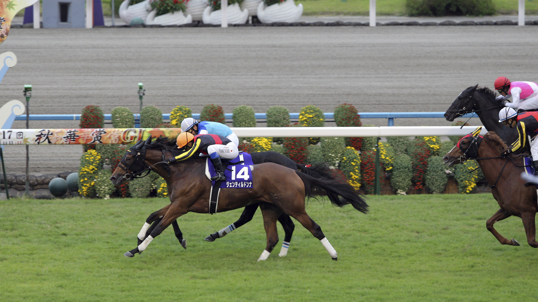 2012�N �H�؏�