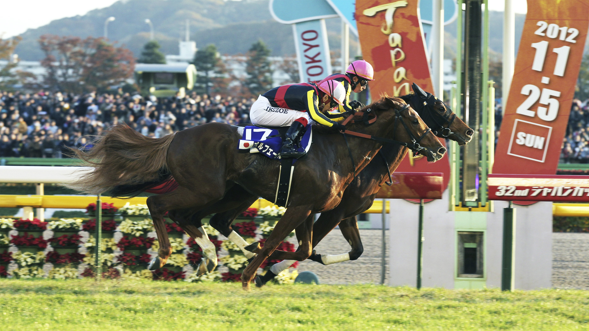 2012�N �W���p���J�b�v