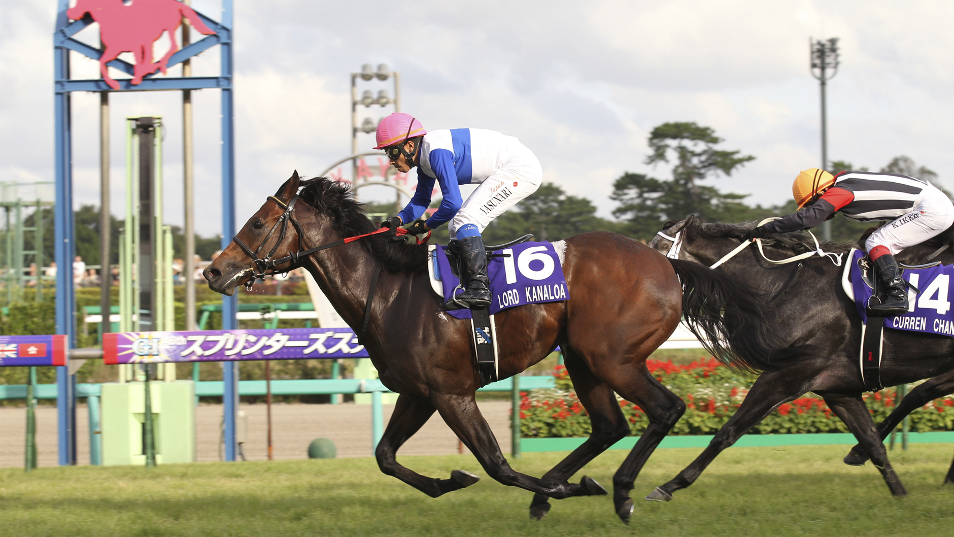 2012�N �X�v�����^�[�Y�X�e�[�N�X