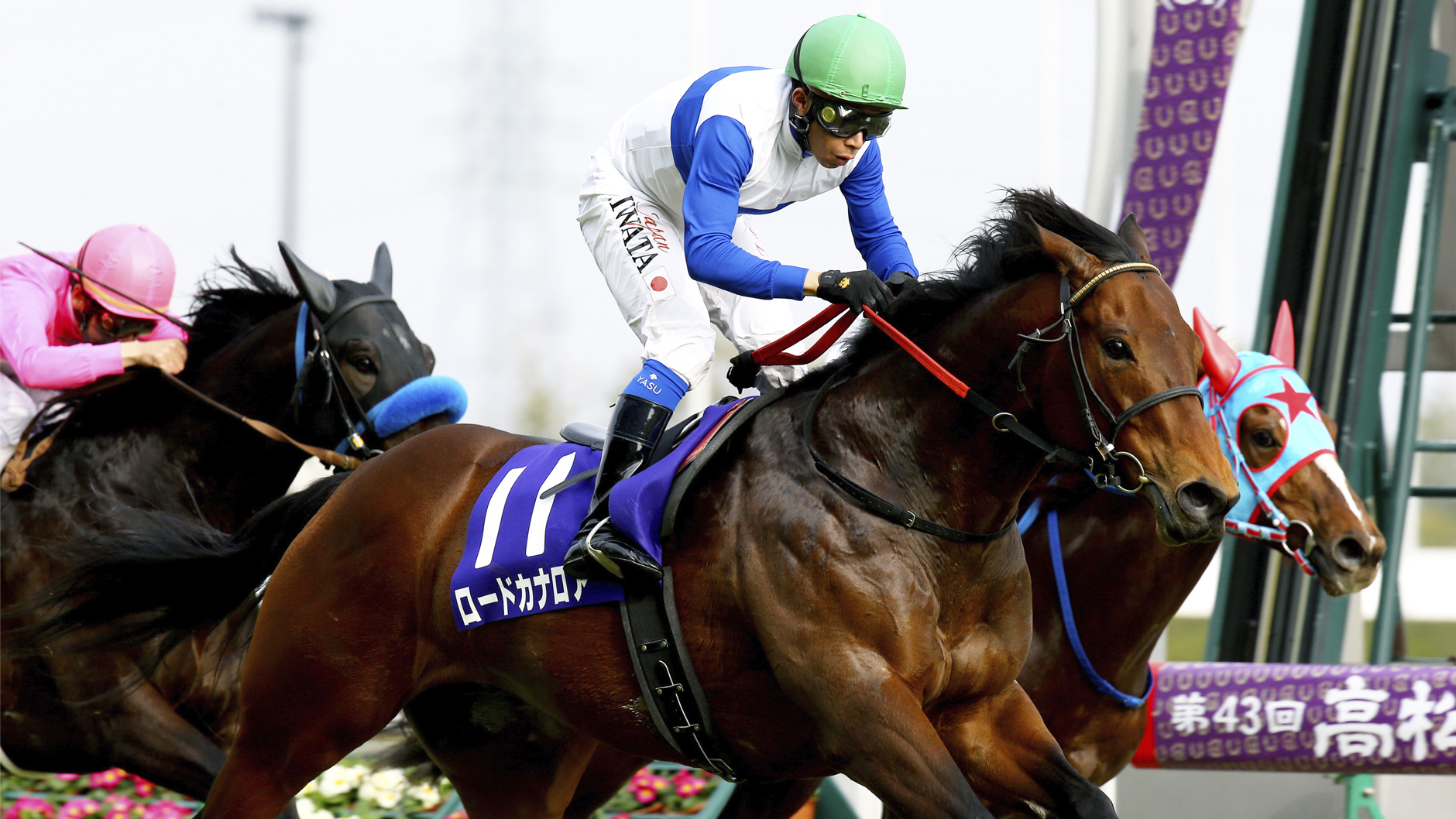 2013�N �����{�L�O