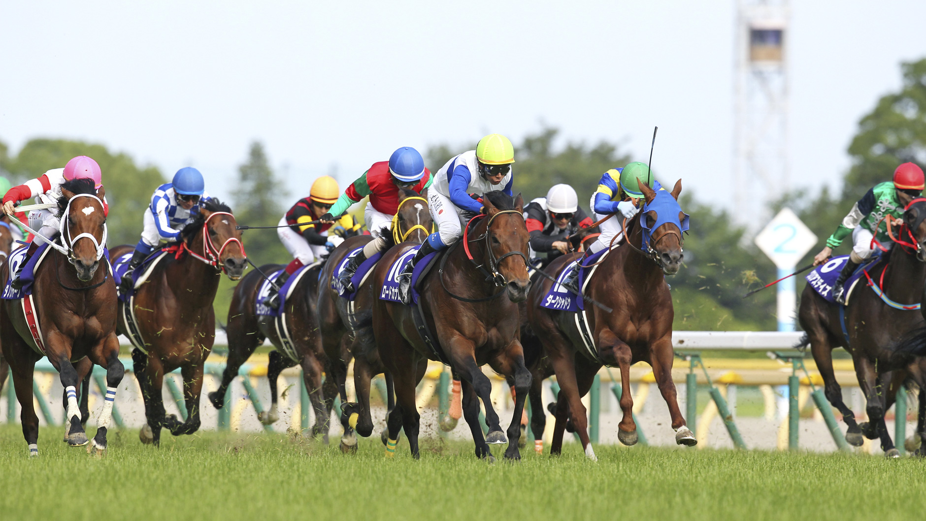 2013�N ���c�L�O