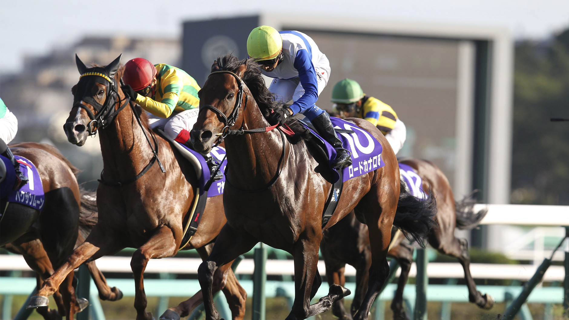 2013�N �X�v�����^�[�Y�X�e�[�N�X