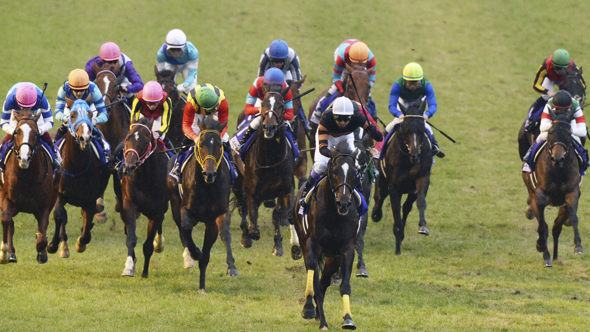 2016�N �W���p���J�b�v