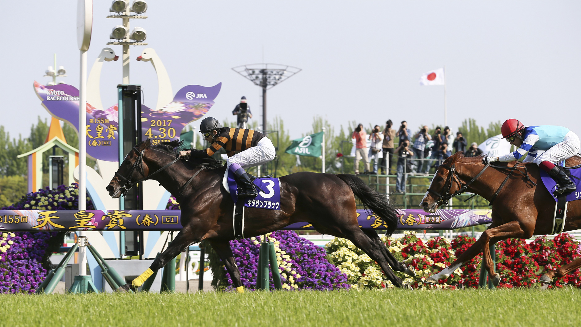 2017�N �V�c�܁i�t�j