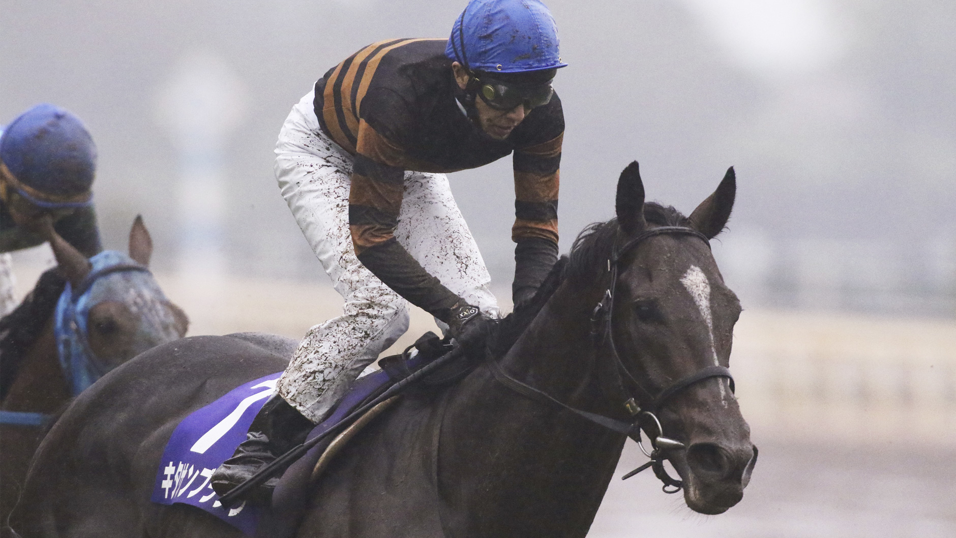 2017�N �V�c�܁i�H�j