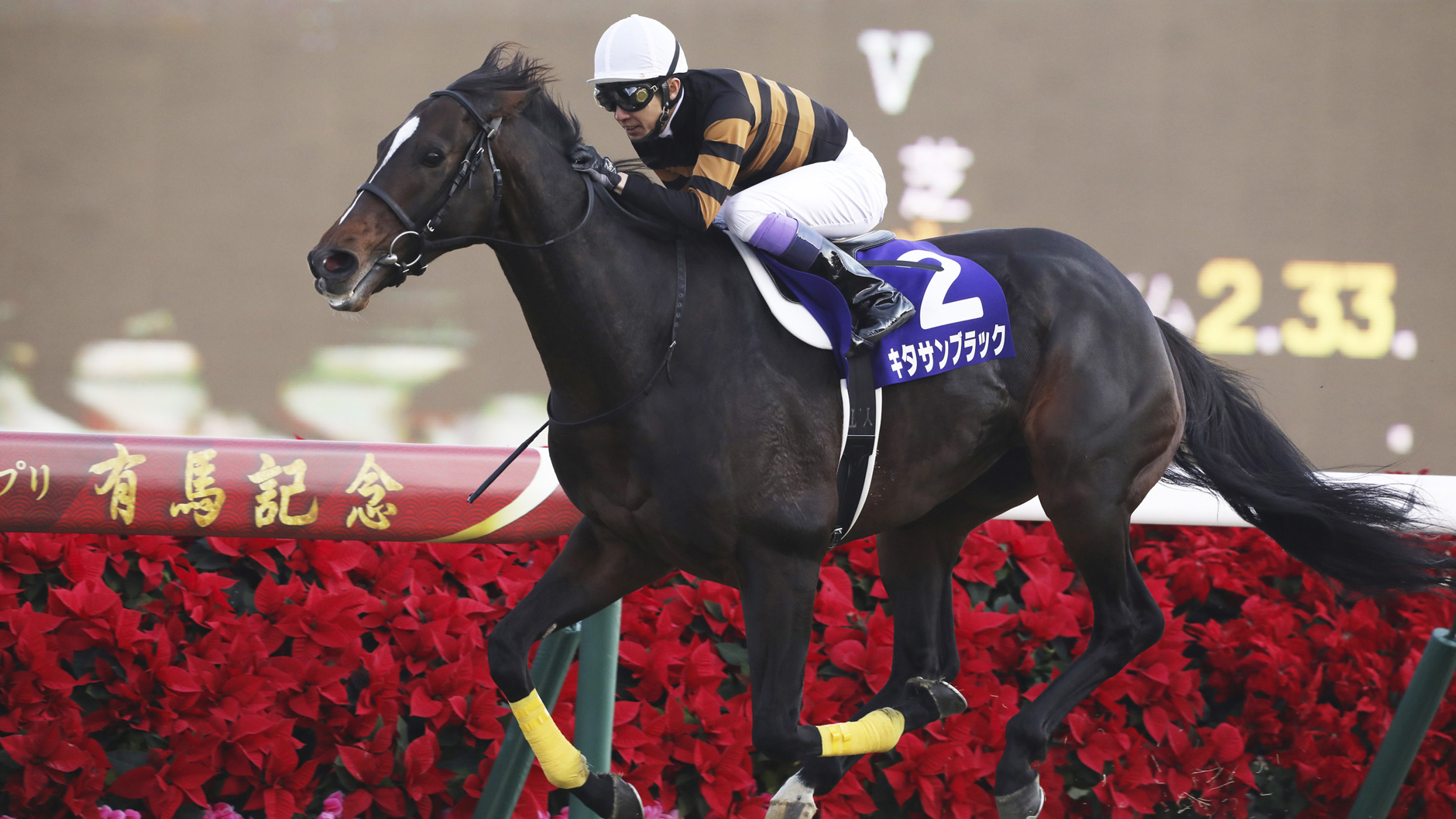 2017�N �L�n�L�O