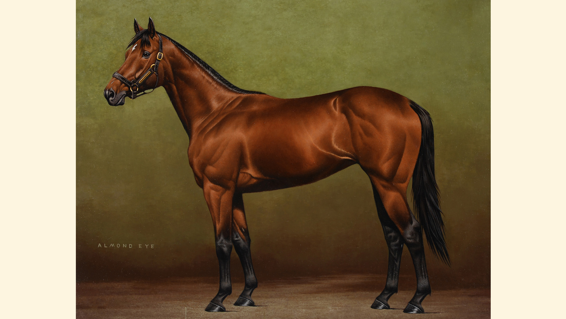 �A�[�����h�A�C�̏ё���