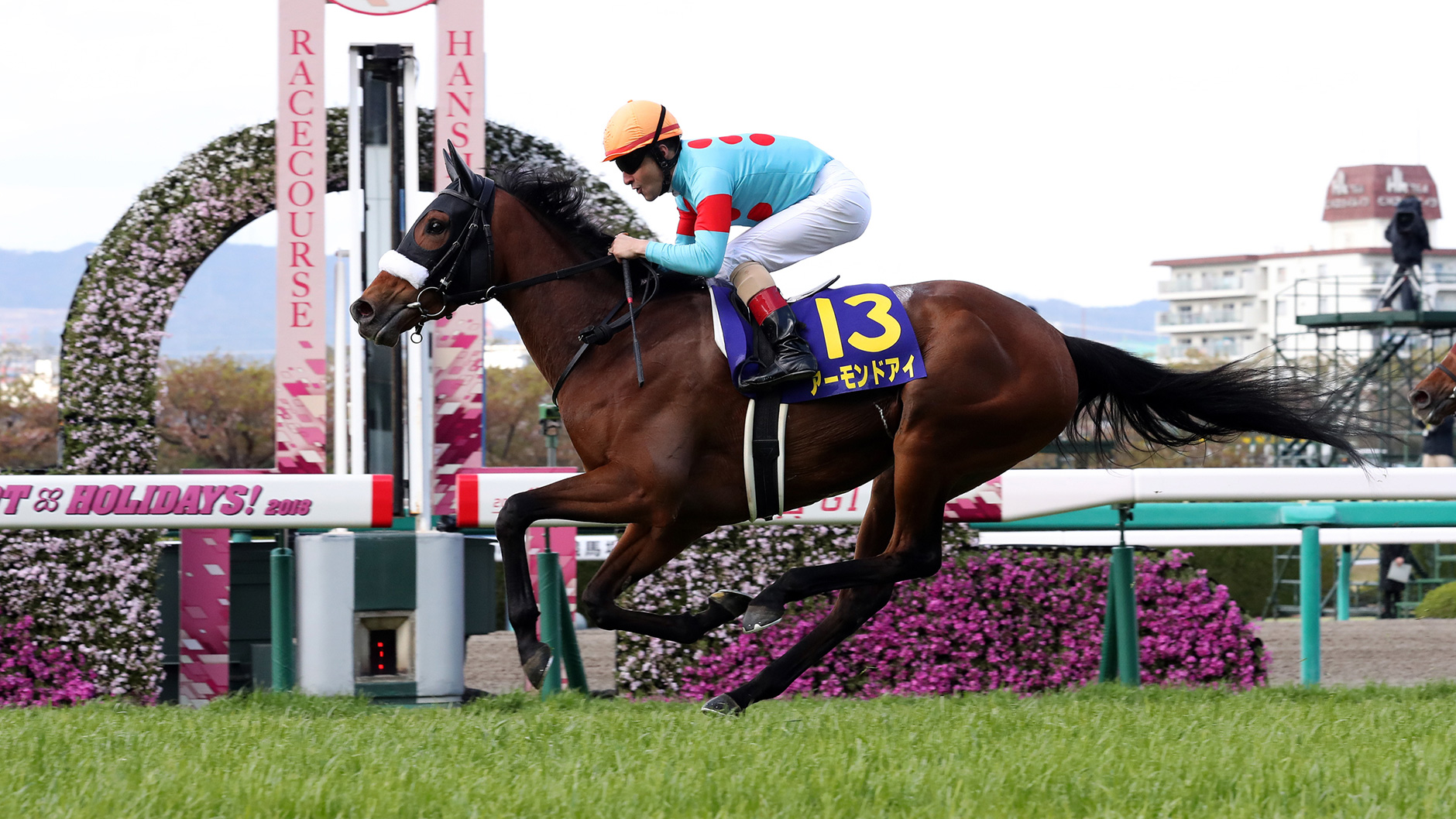 2018�N ���ԏ�