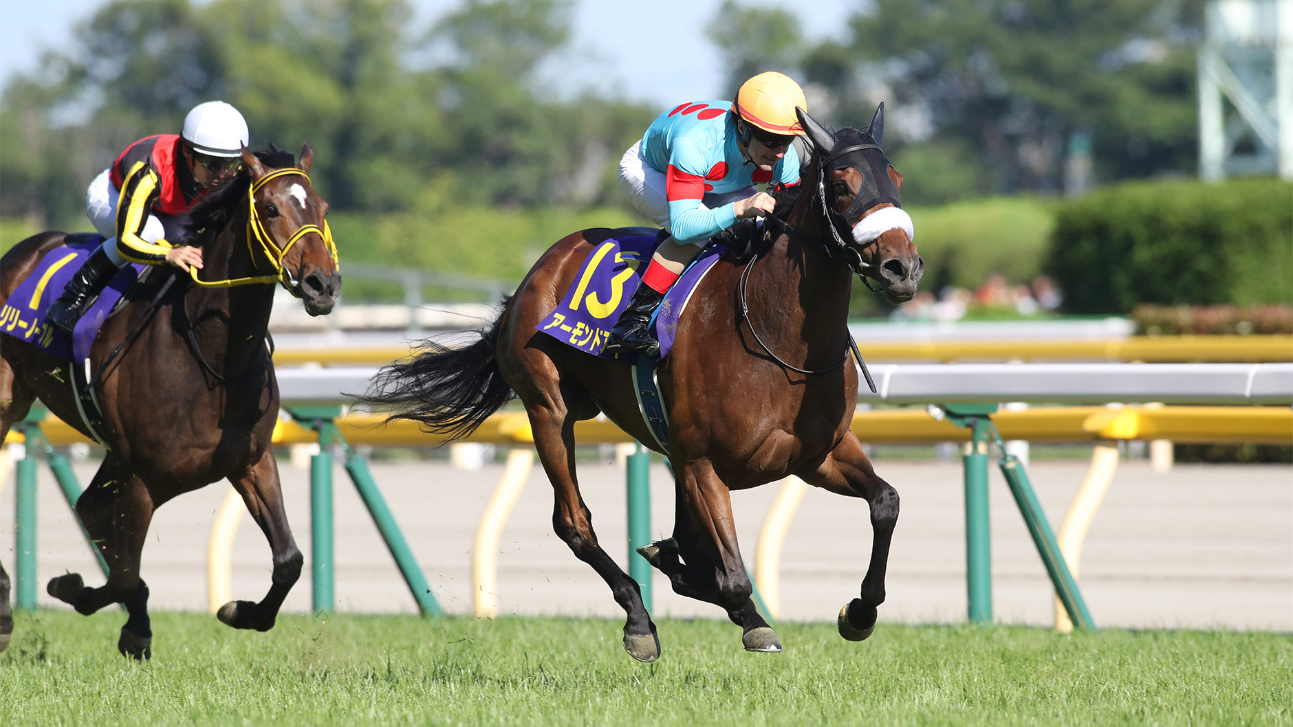 2018�N �D�x�Ĕn