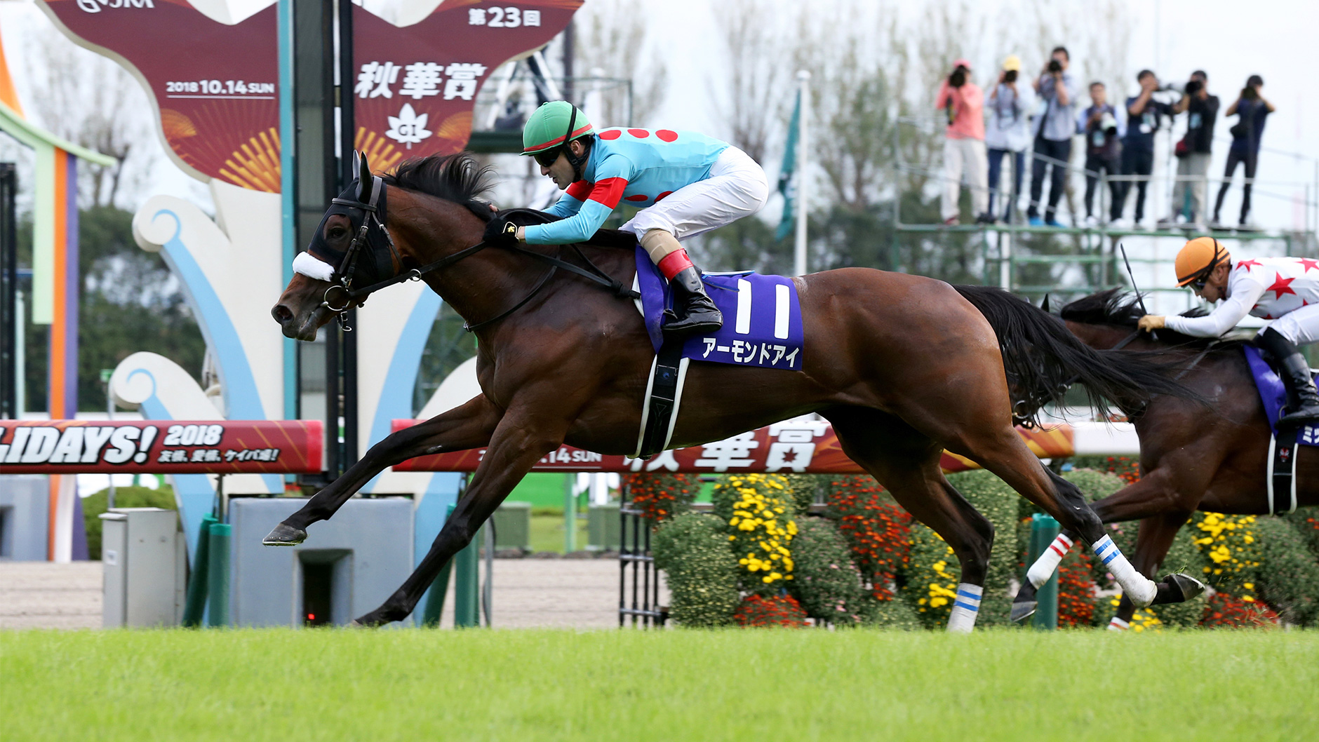 2018�N �H�؏�