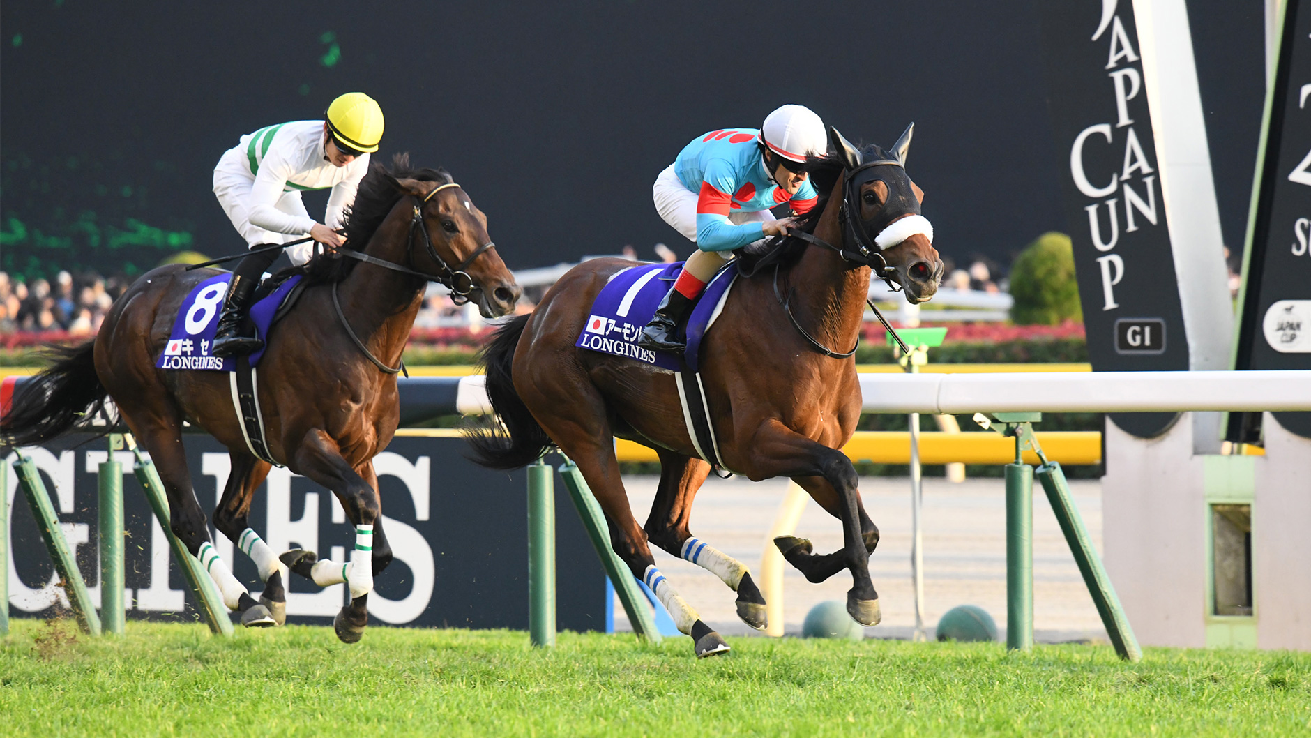 2018�N �W���p���J�b�v