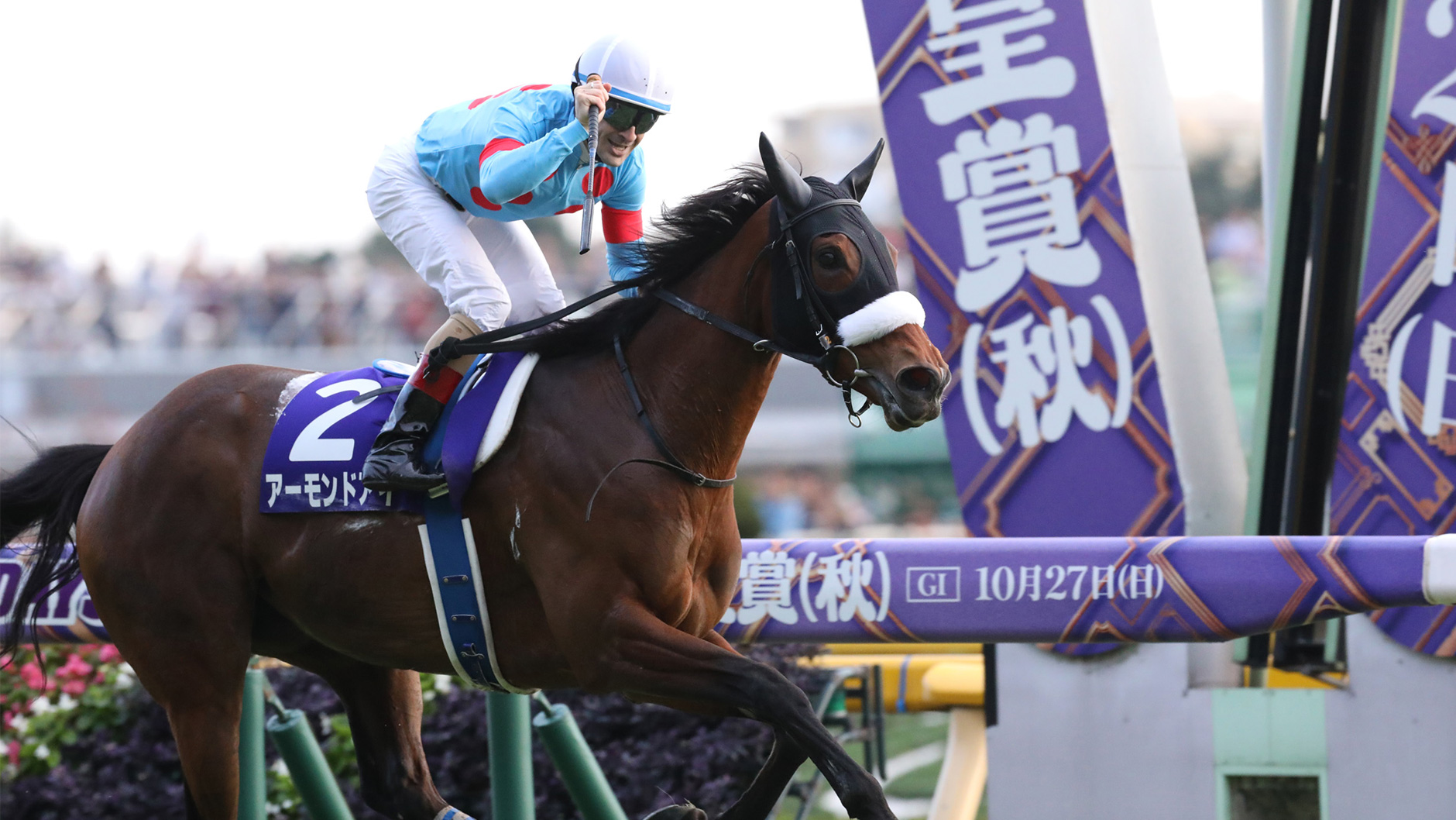 2019�N �V�c�܁i�H�j