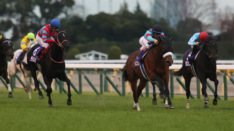 2020�N �W���p���J�b�v