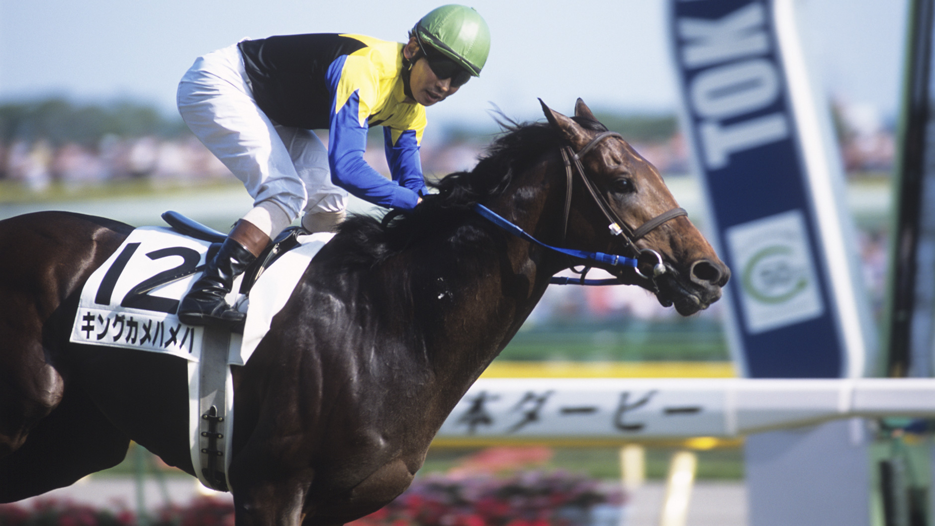 2004�N �����D�x