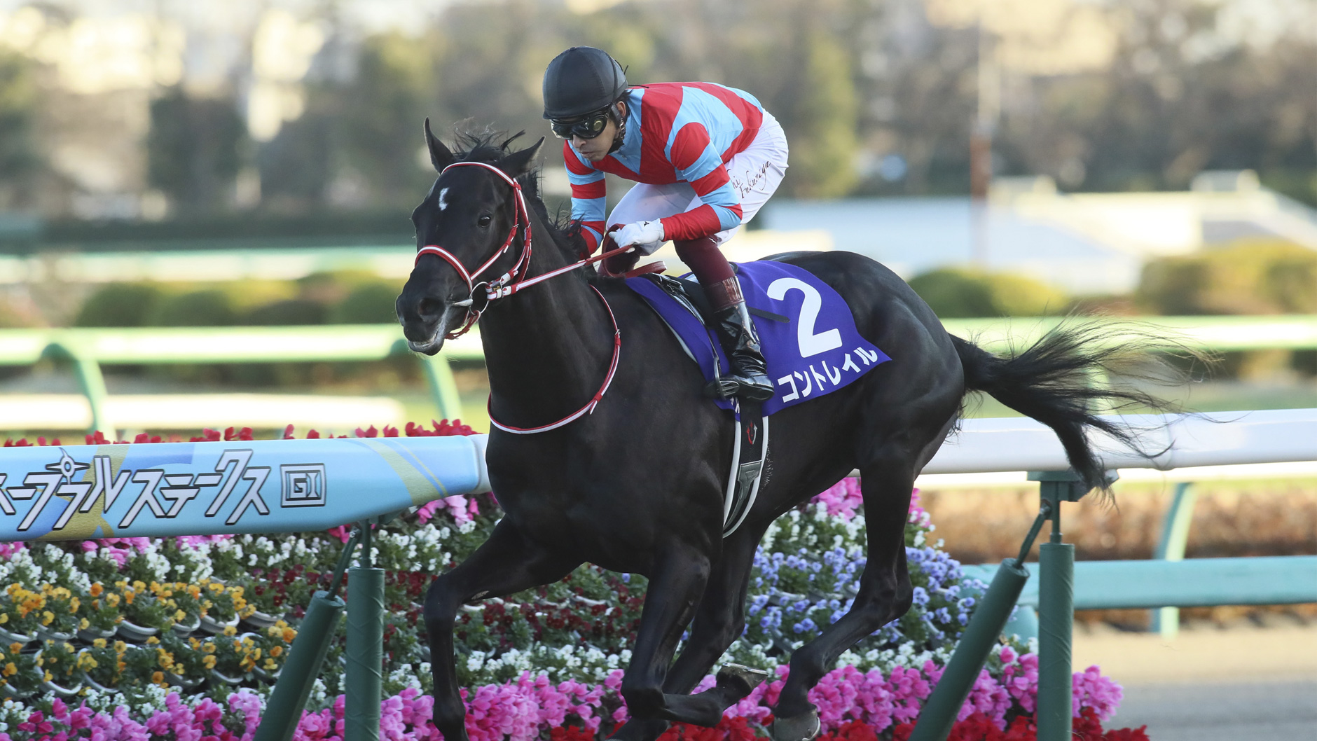 2019�N �z�[�v�t���X�e�[�N�X