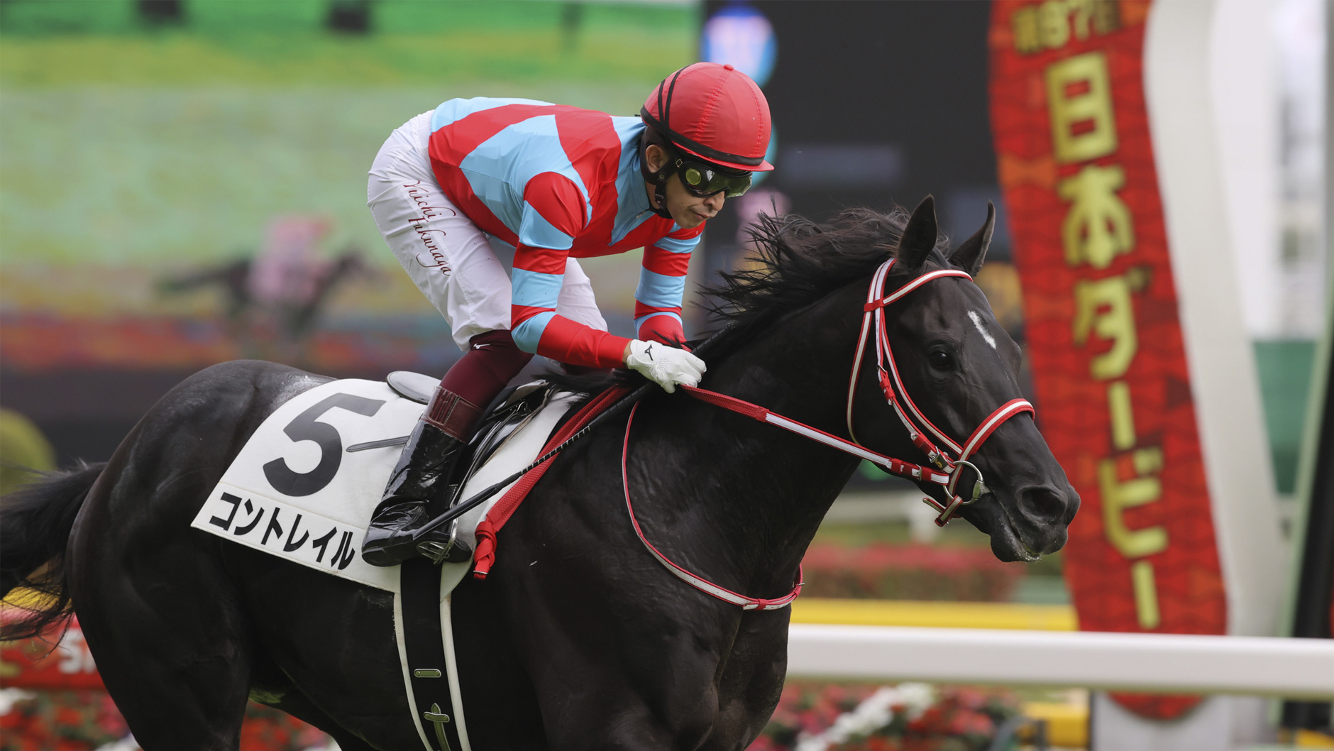 2020�N �����D�x