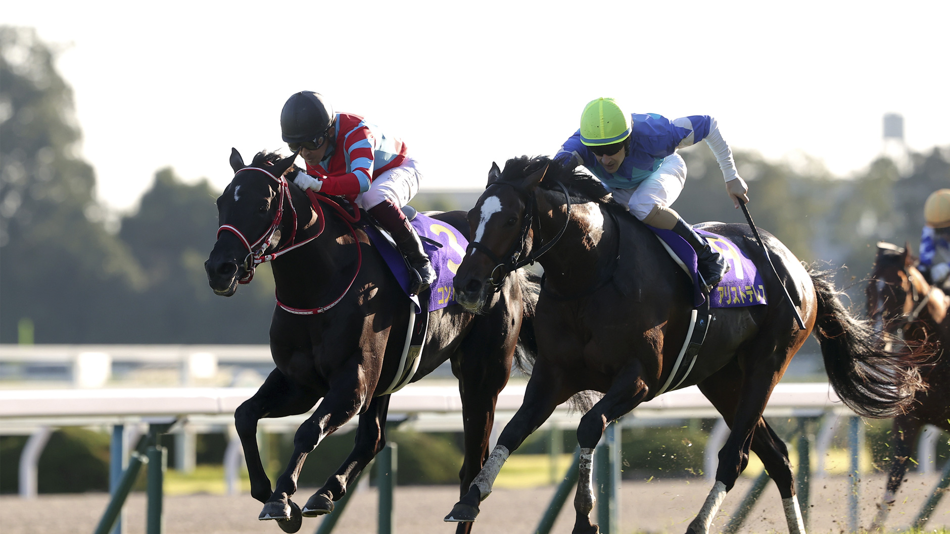 2020�N �e�ԏ�