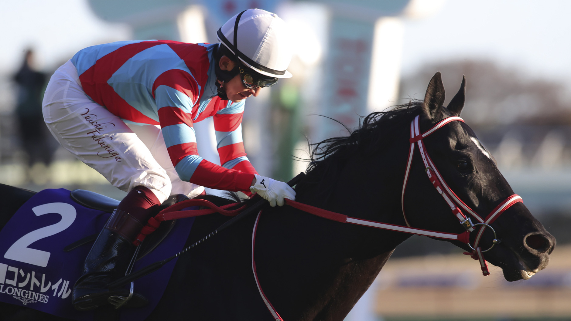 2021�N �W���p���J�b�v