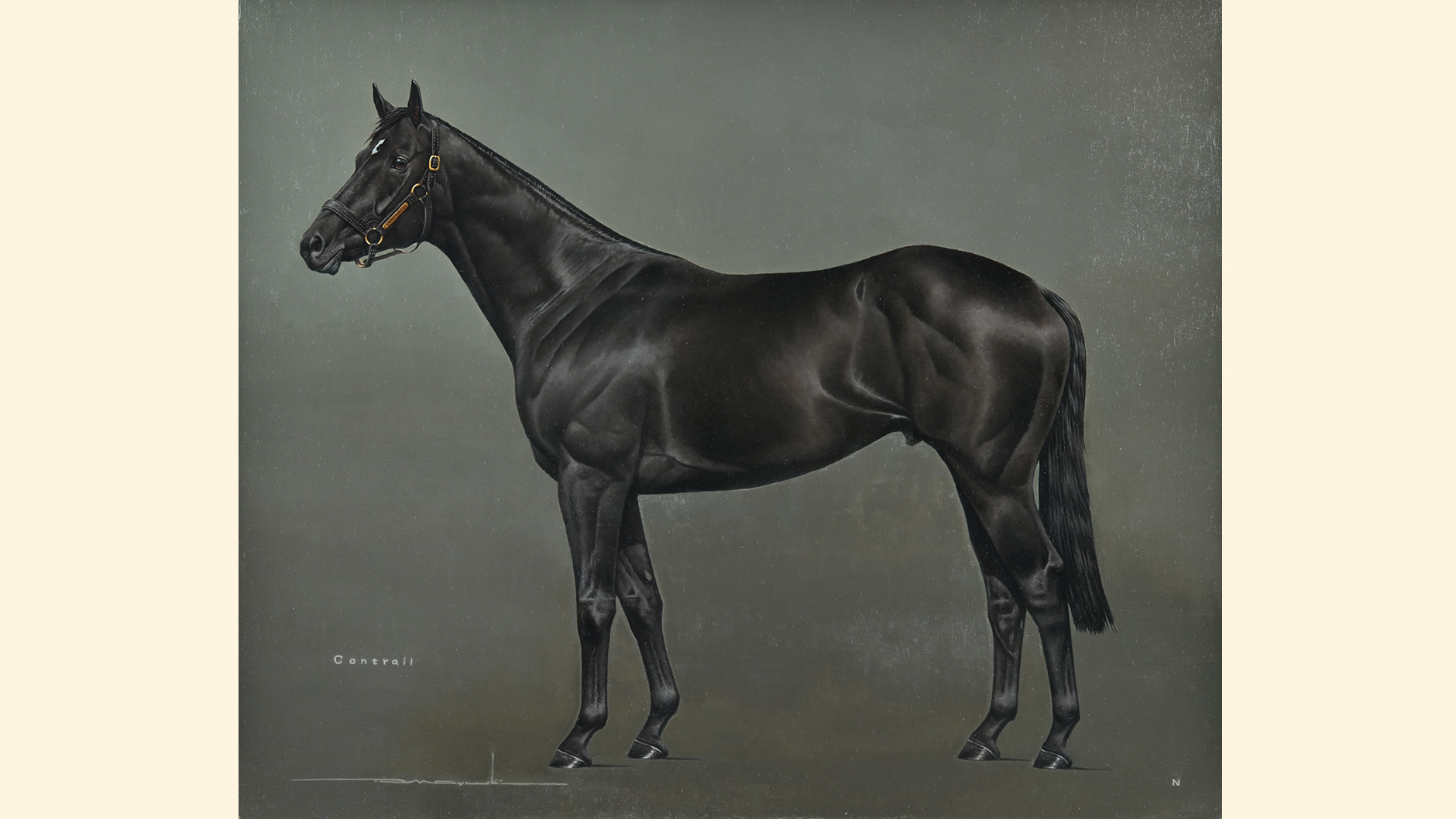 �R���g���C���̏ё���