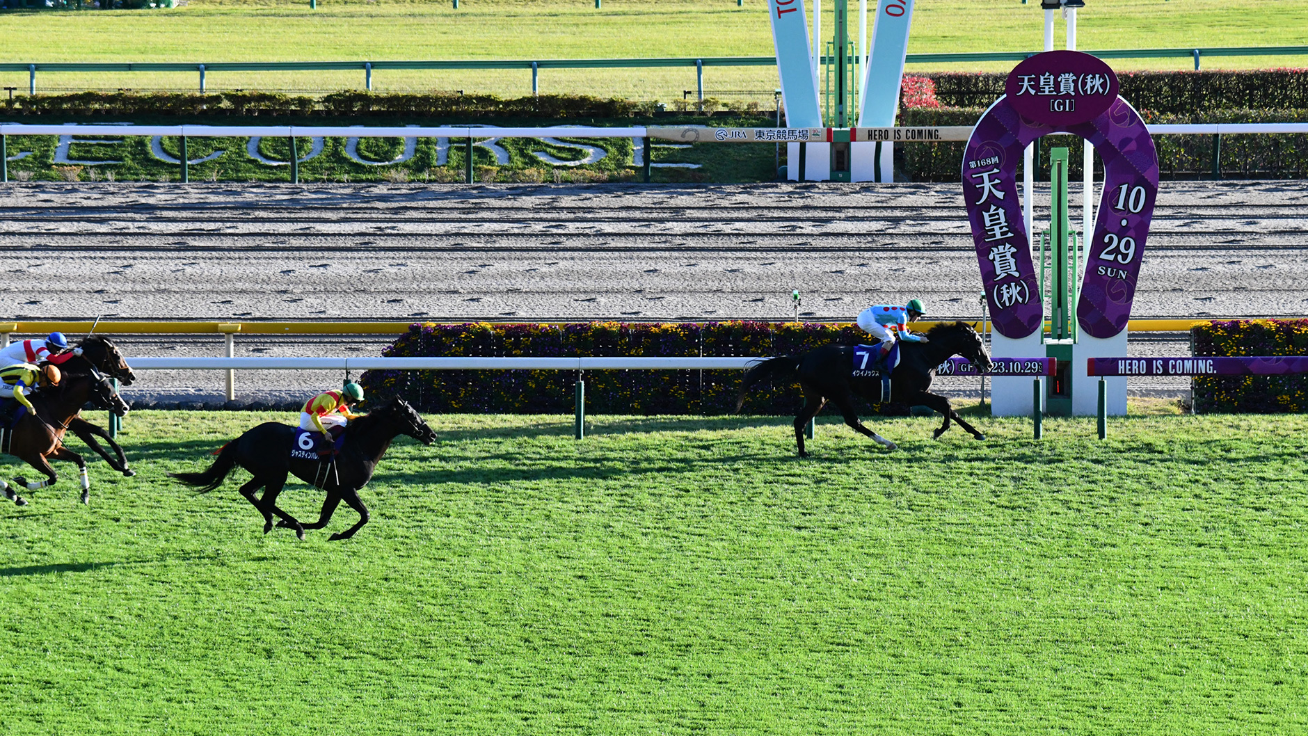 2023�N �V�c�܁i�H�j