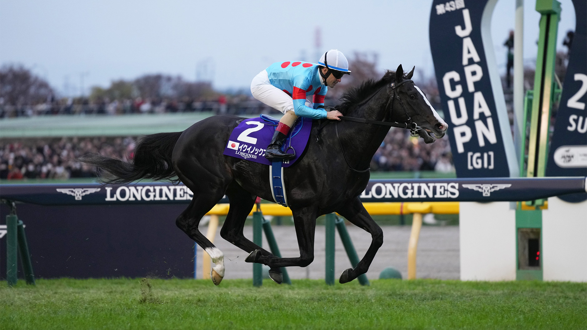 2023�N �W���p���J�b�v